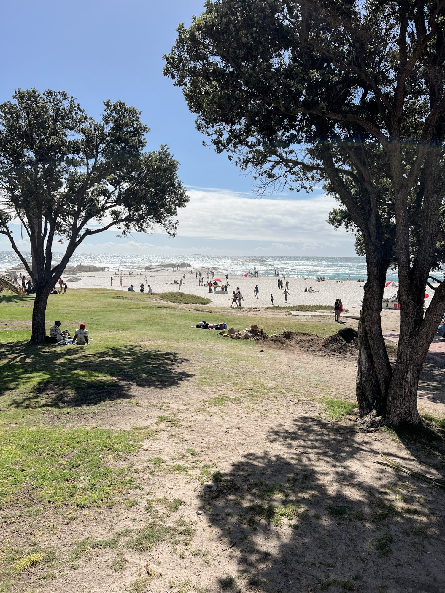 Strand gezien vanaf grasveld met bomen en mensen in de zon.