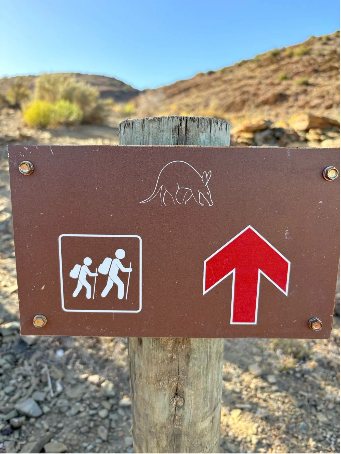 Aardvark Bio Reserve in de Kleine Karoo 