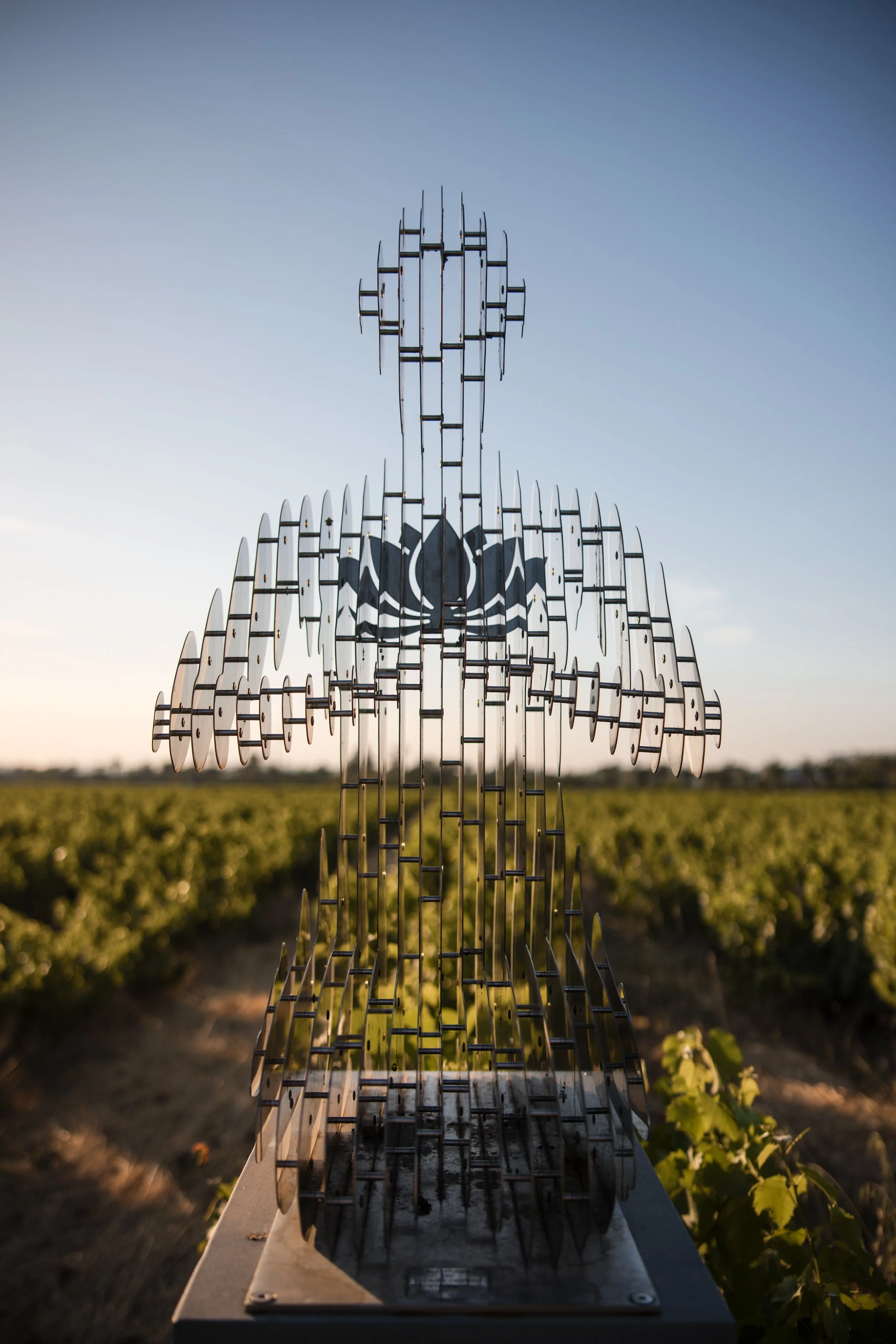 Transparant kunstwerk in avondlicht boven wijngaard in Stellenbosch.