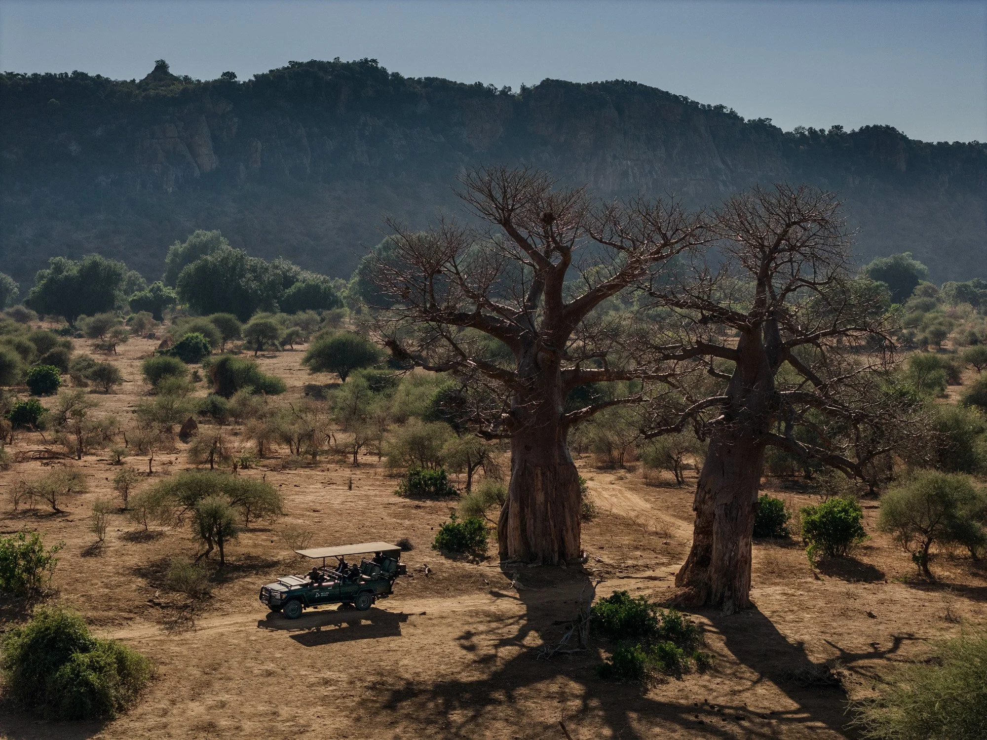 Safari voertuig bij twee grote baobab bomen in het landschap van Pafuri in Kruger National Park Zuid-Afrika.