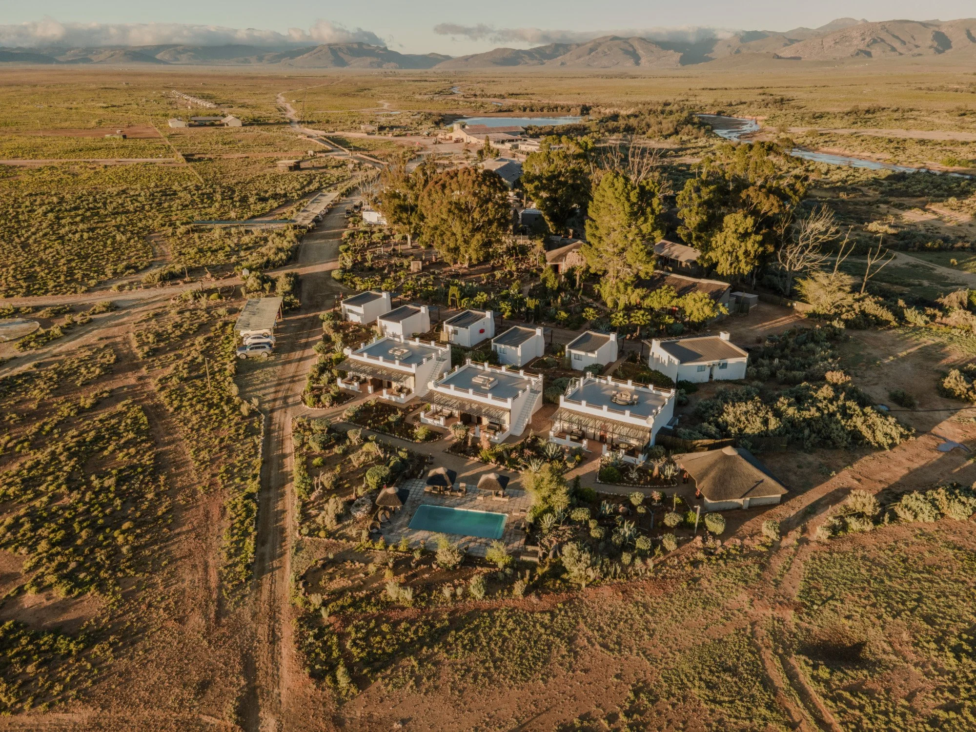 Inverdoorn Private Game Reserve: op safari in de Kleine Karoo vanuit Kaapstad