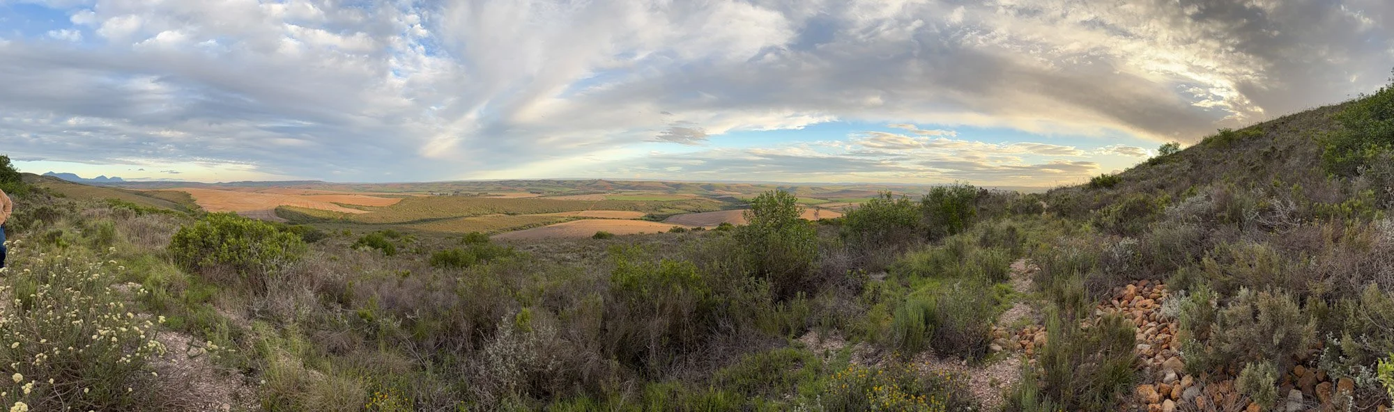 Rewilding project tussen Struisbaai en Agulhas