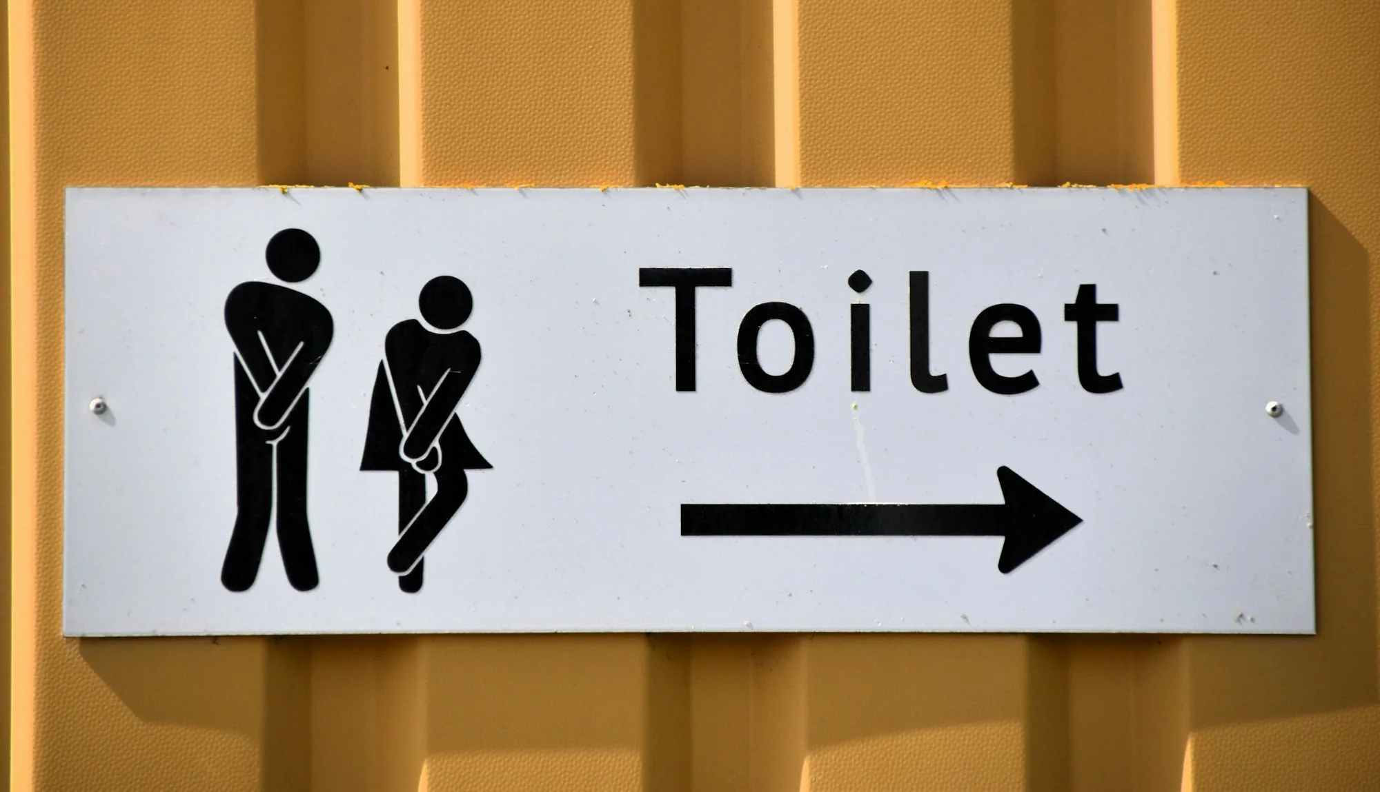 Toiletten: klein geluk onderweg