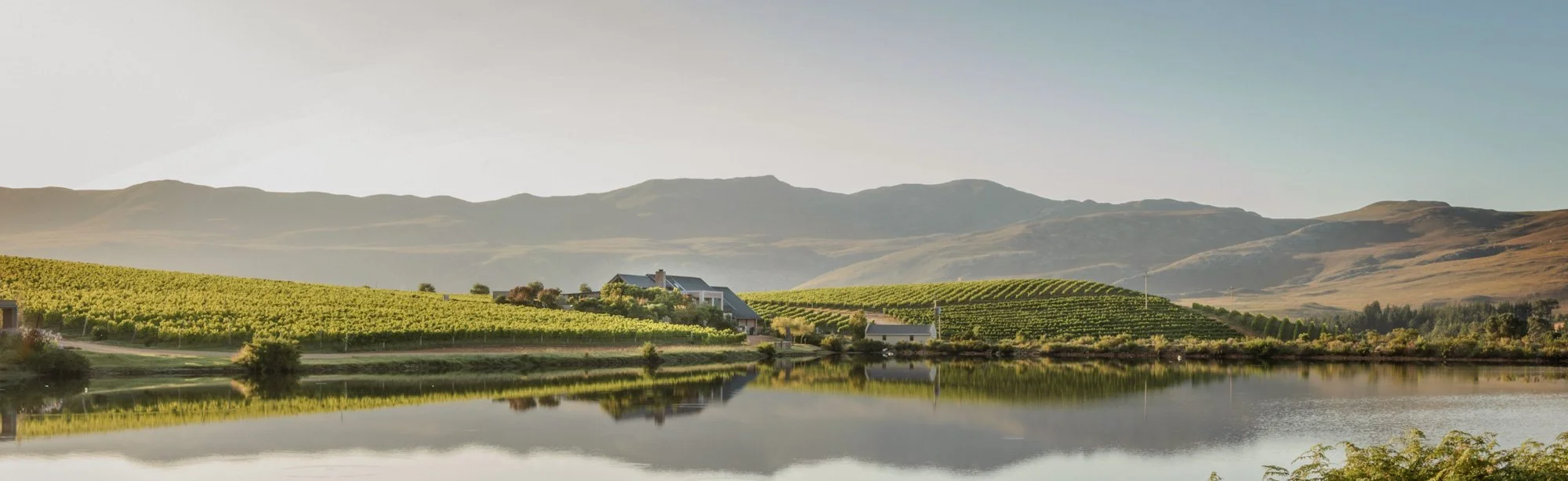 Creation wijnlandgoed in de Hemel-en-Aarde vallei bij Hermanus in Zuid-Afrika.
