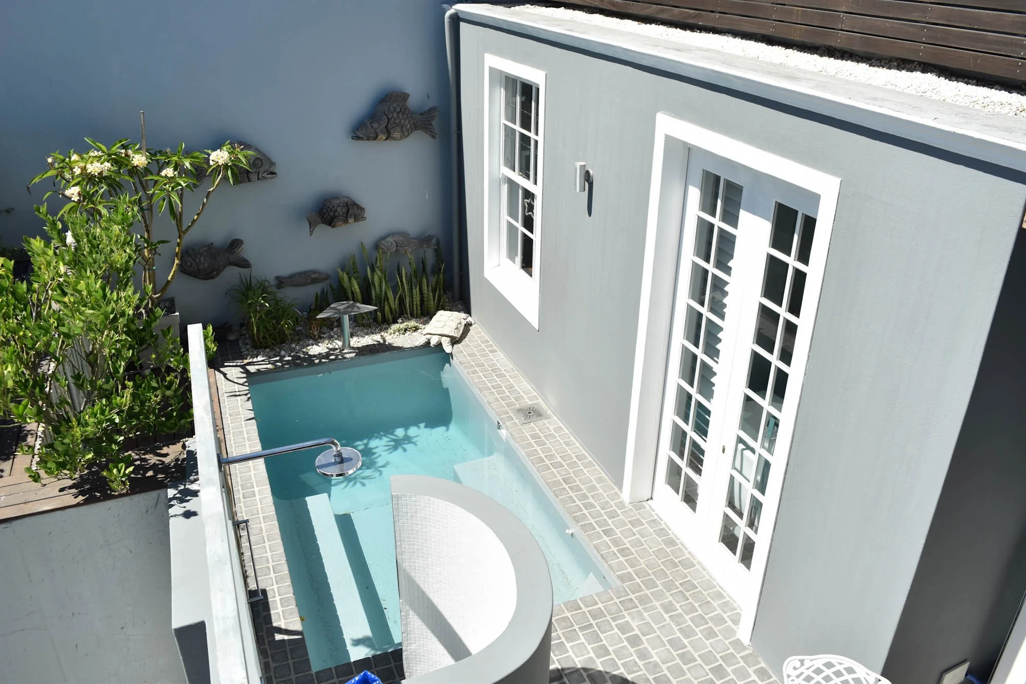 Beschut zwembad op de binnenplaats van een cottage in De Waterkant in Kaapstad.