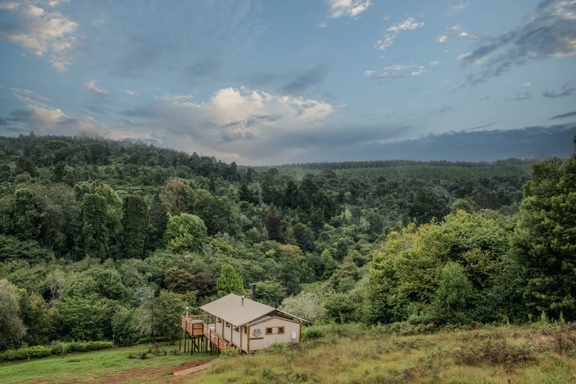 Vrijstaande glampingtent van AfriCamps Magoebaskloof aan de rand van een dichtbegroeid bos.