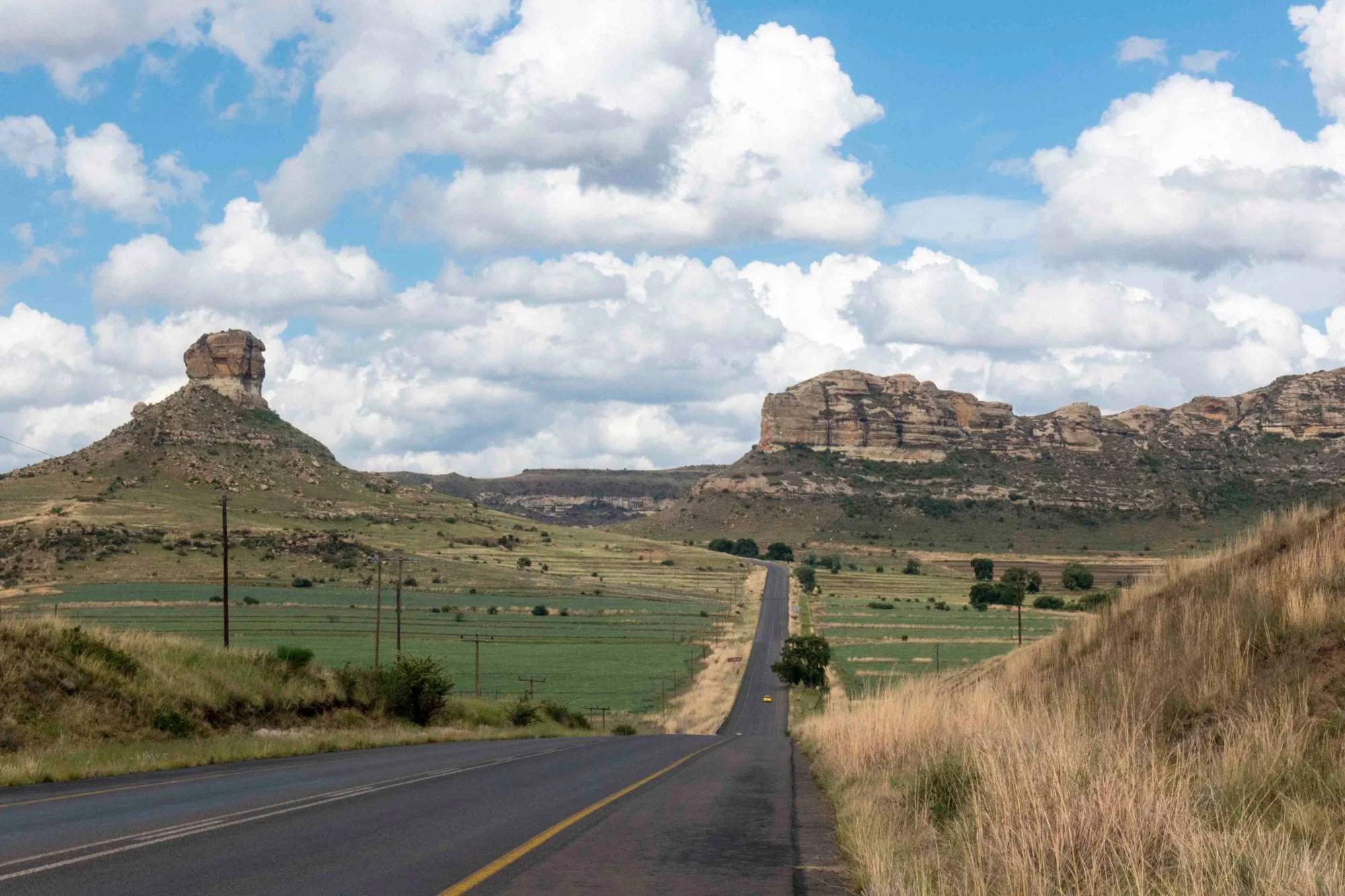 Asfaltweg zonder auto's in groen landschap in Zuid-Afrika.
