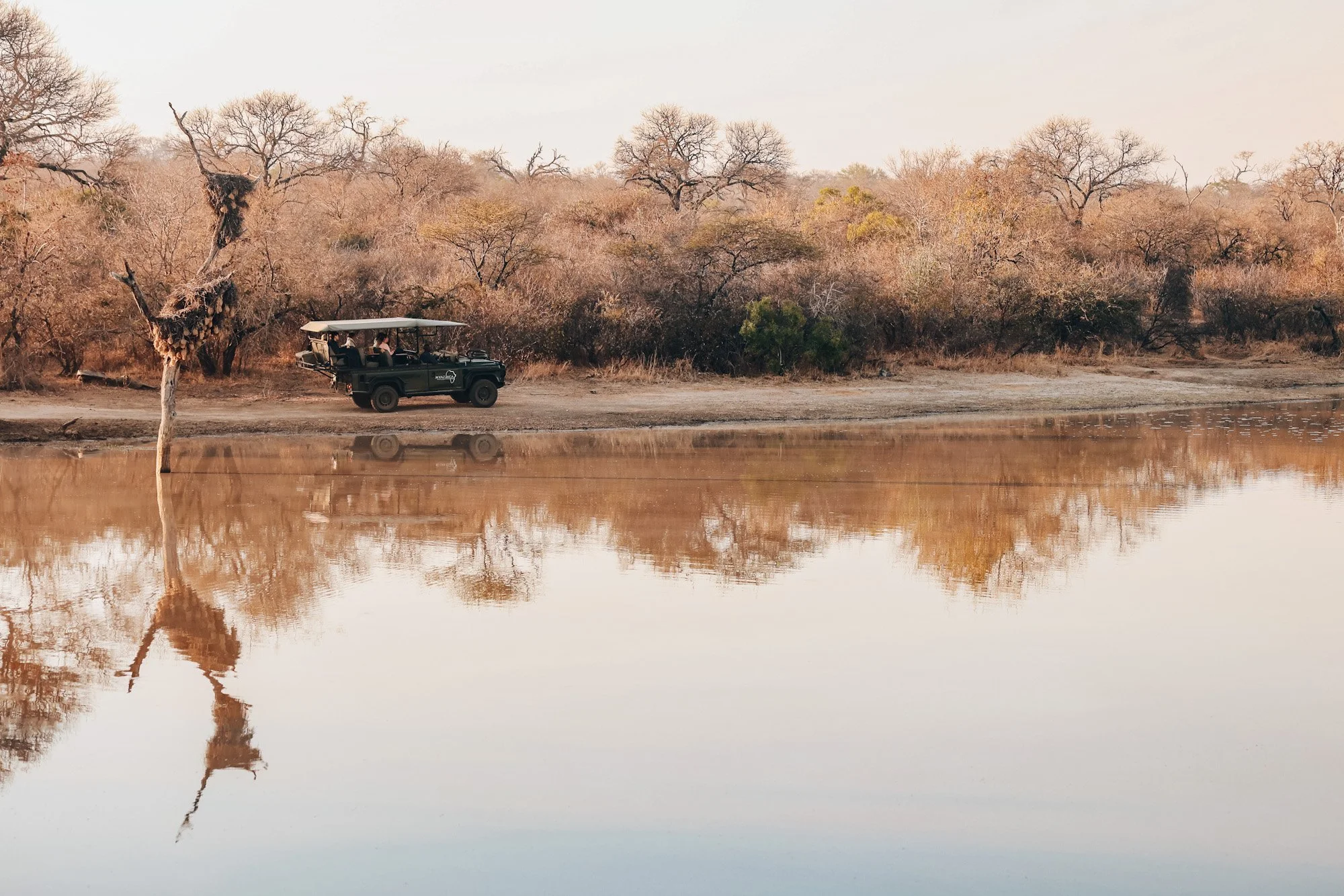 Open safari voertuig tijdens game drive langs waterpoel in Zuid-Afrika.