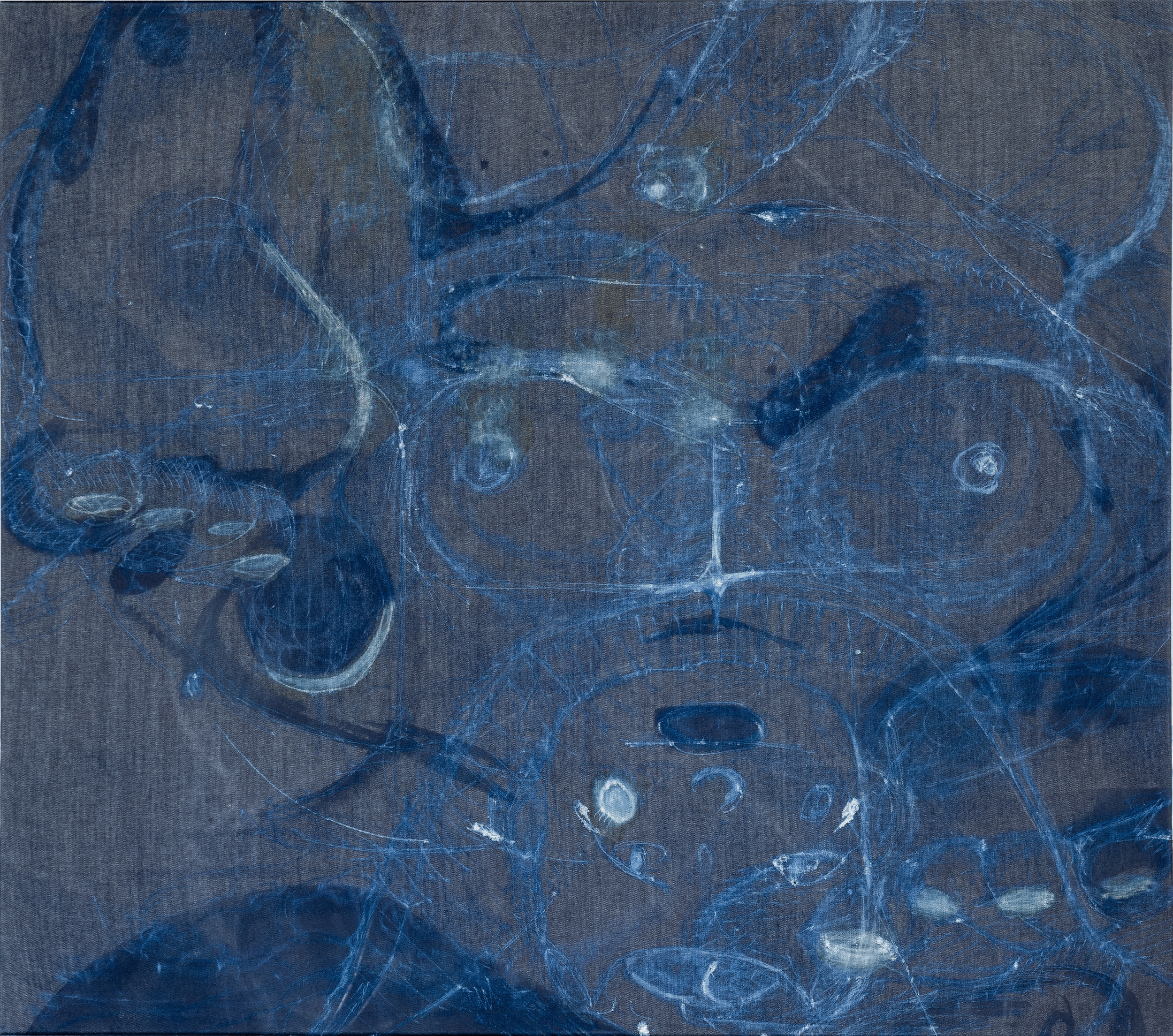 a chub-shota-shot, 2025, abraisions, fabric softener, bleach any cyanotype on denim, 120 x 135 cm