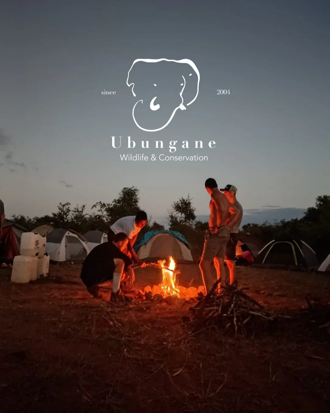 Safari content creation capturing wildlife and luxury lodge experience