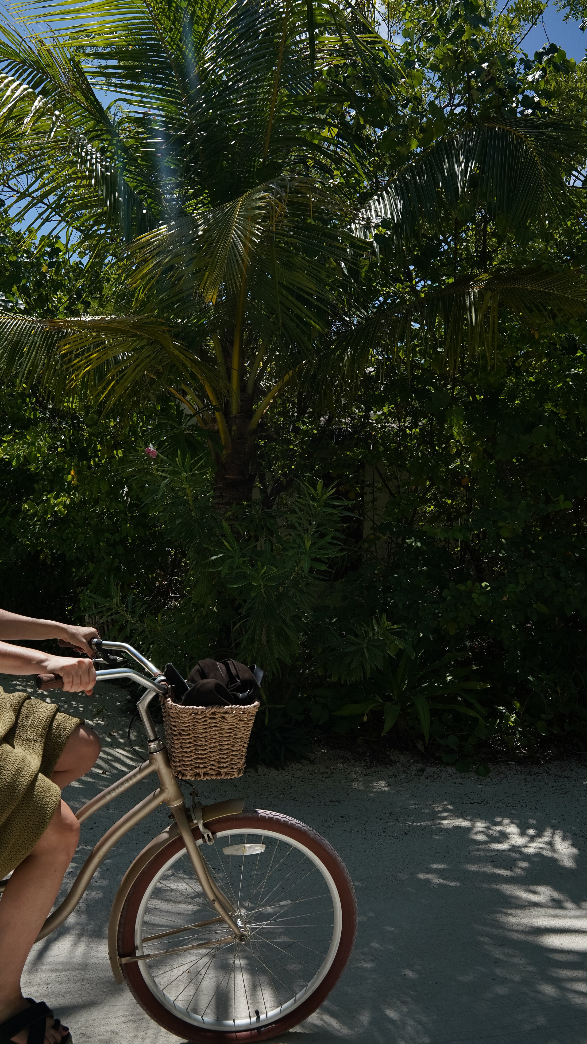 A person riding a bicycle with a beige frame and a basket attached to the front, passing by lush green trees and leafy bushes under a partly cloudy sky.