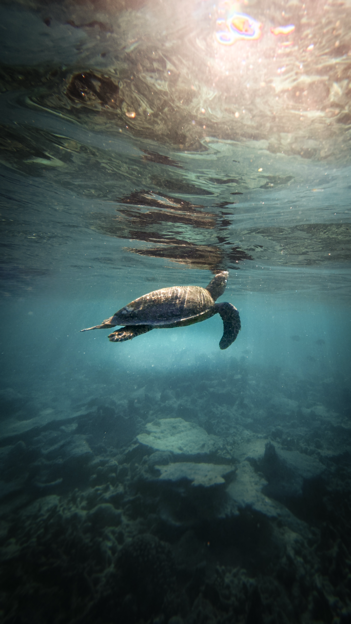 Travel content creation for premium hotel marketing campaigns