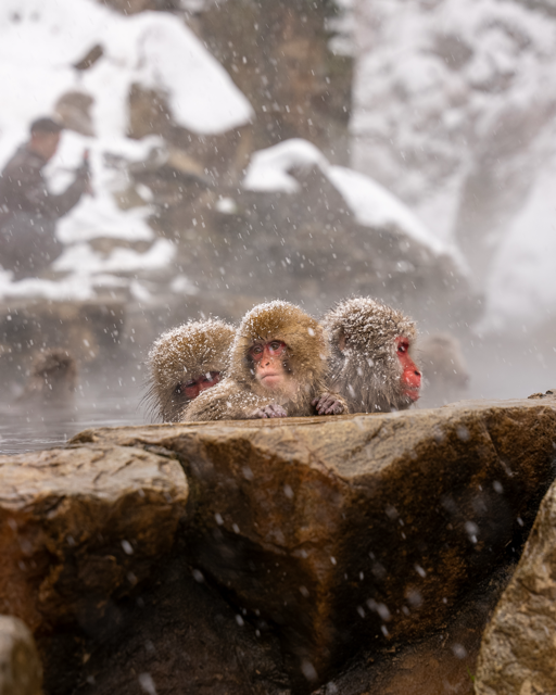 Brand photography for luxury hotel marketing and campaigns