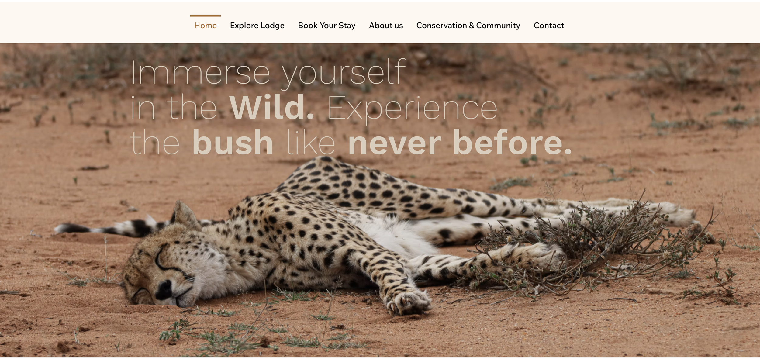 Social media content for boutique safari lodge and travel brand