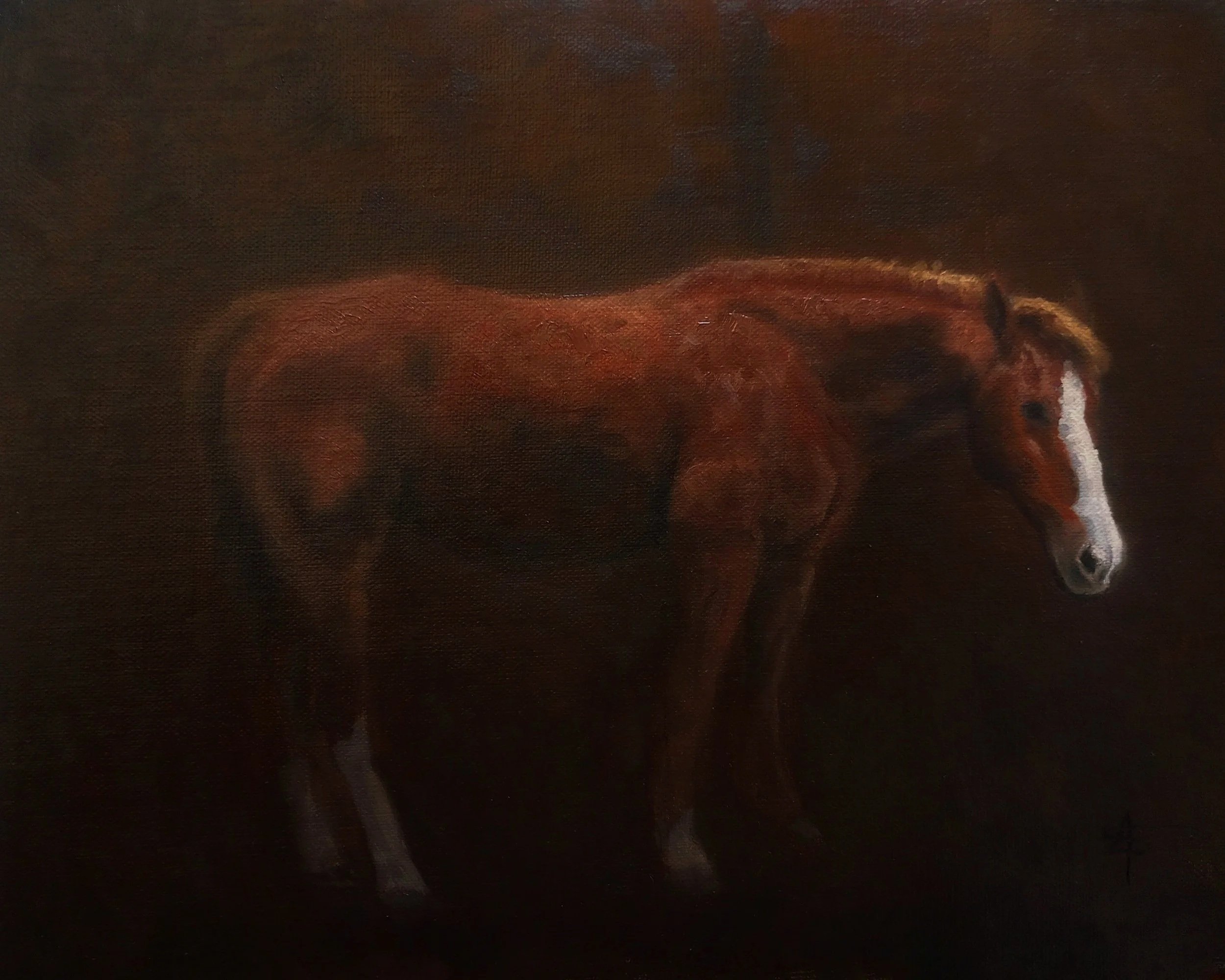 "Cowgirl", Oil on Linen 8 x 10 Inches.  |

$160 | Available

If you are interested in purchasing this painting, please contact the artist. averystandardfineart@gmail.com