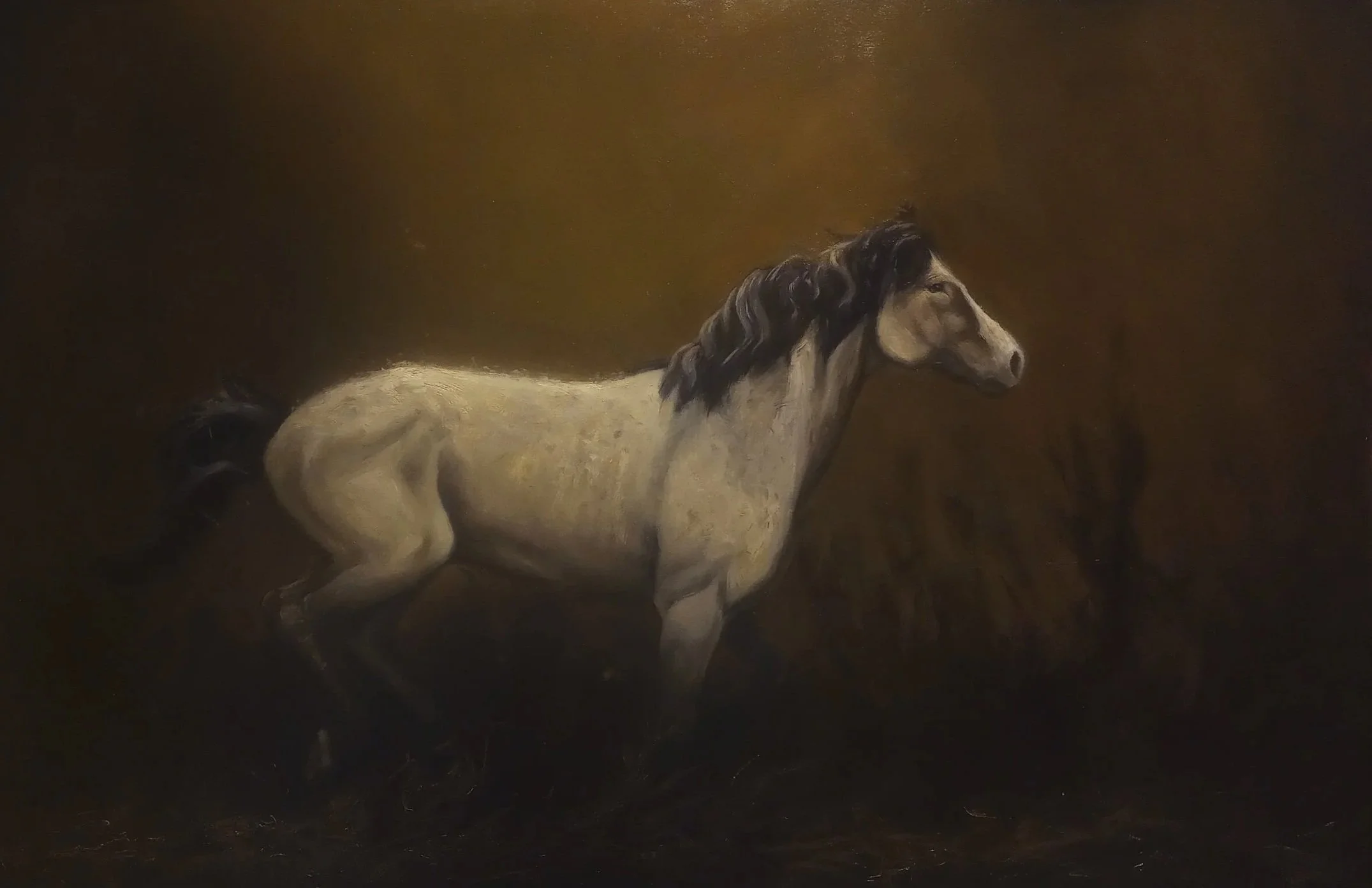 Oil on Panel - 20 x 30 - Available