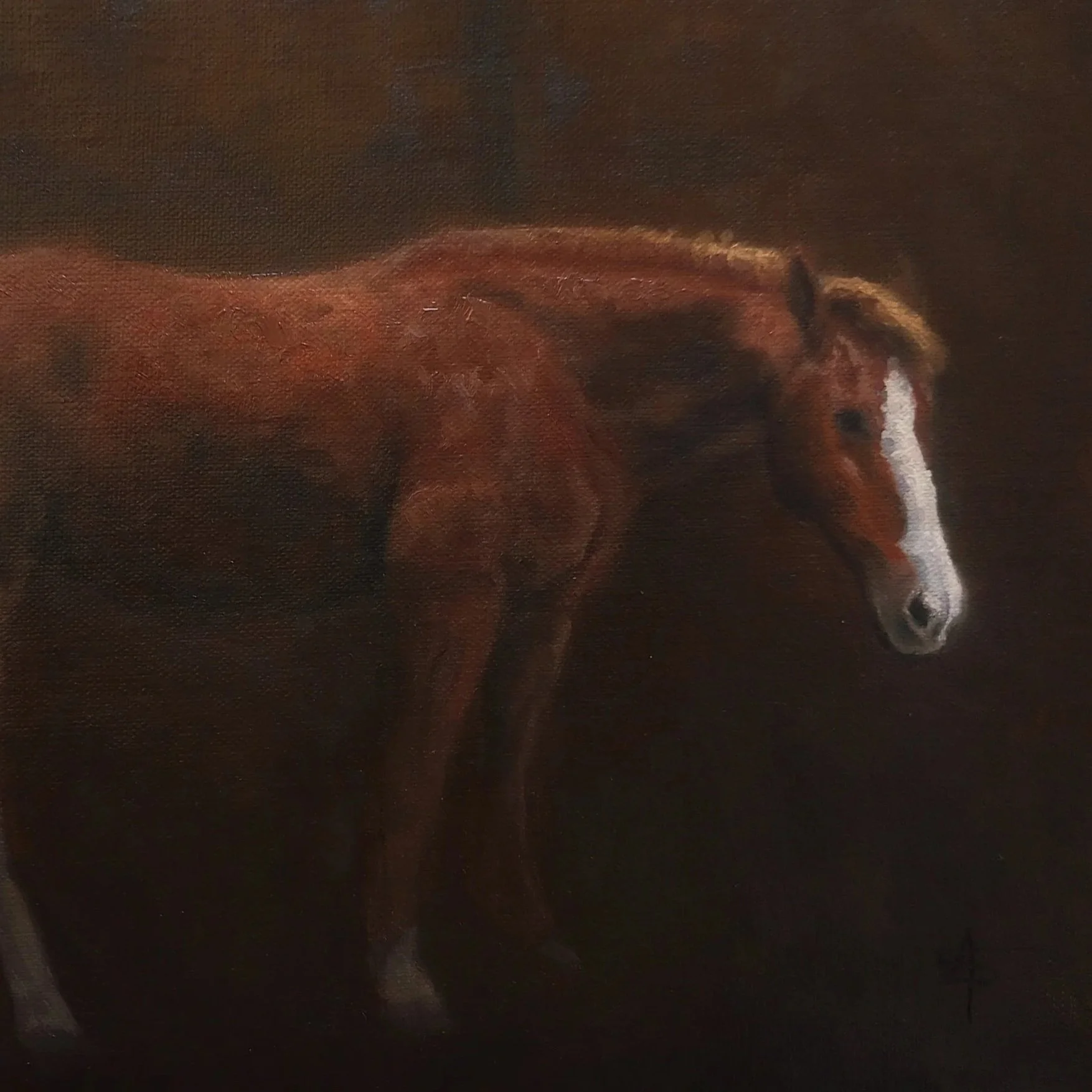 "Cowgirl" - 8 x 10 - Available