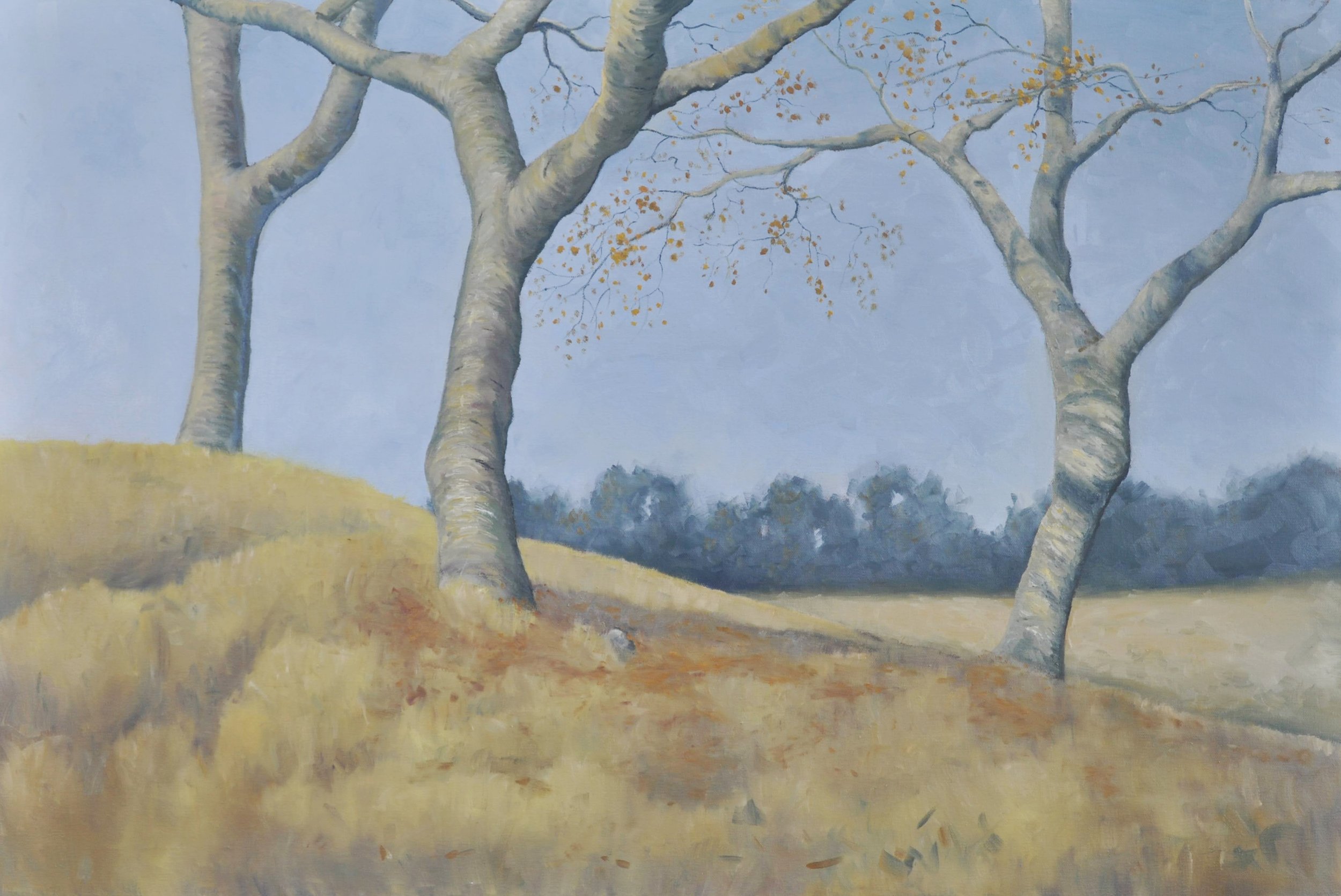 A landscape painting of several large gray trees in mid autumn. The sky is a deep blue, while the foliage has dimmed to yellow, orange, and blue blacks. Oil paintings in Montgomery, Texas by Avery Standard.