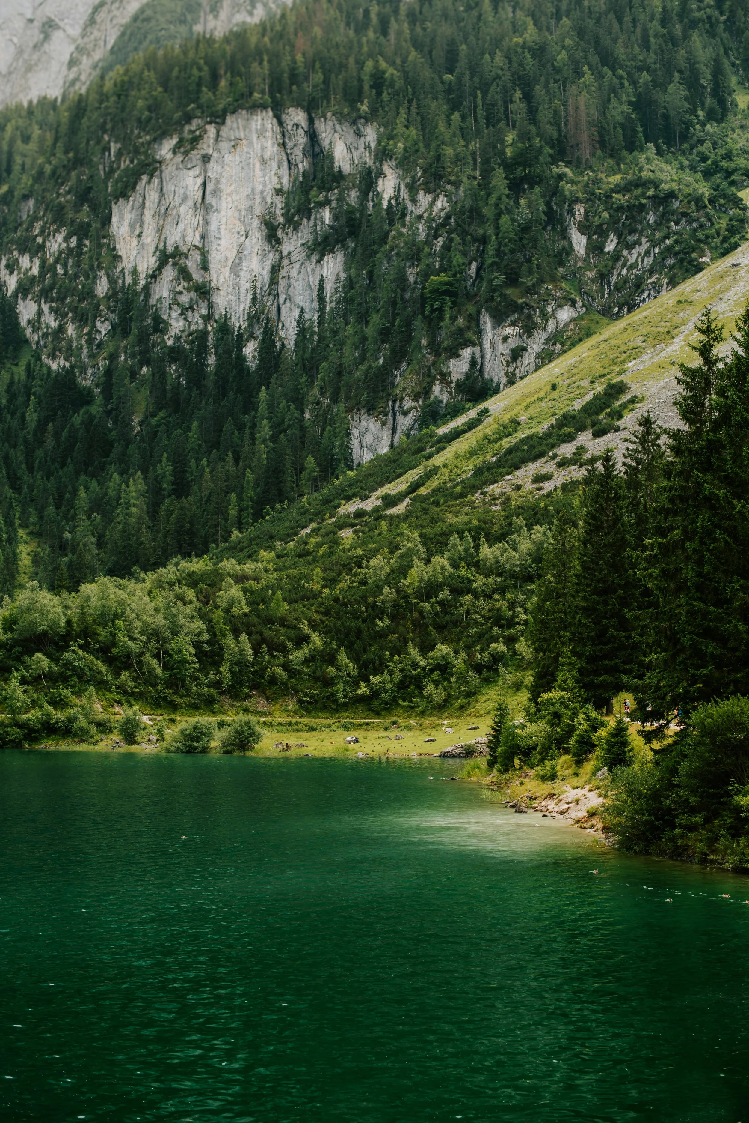 kateryna-hliznitsova-ZY2kZarqREE-unsplash.jpg