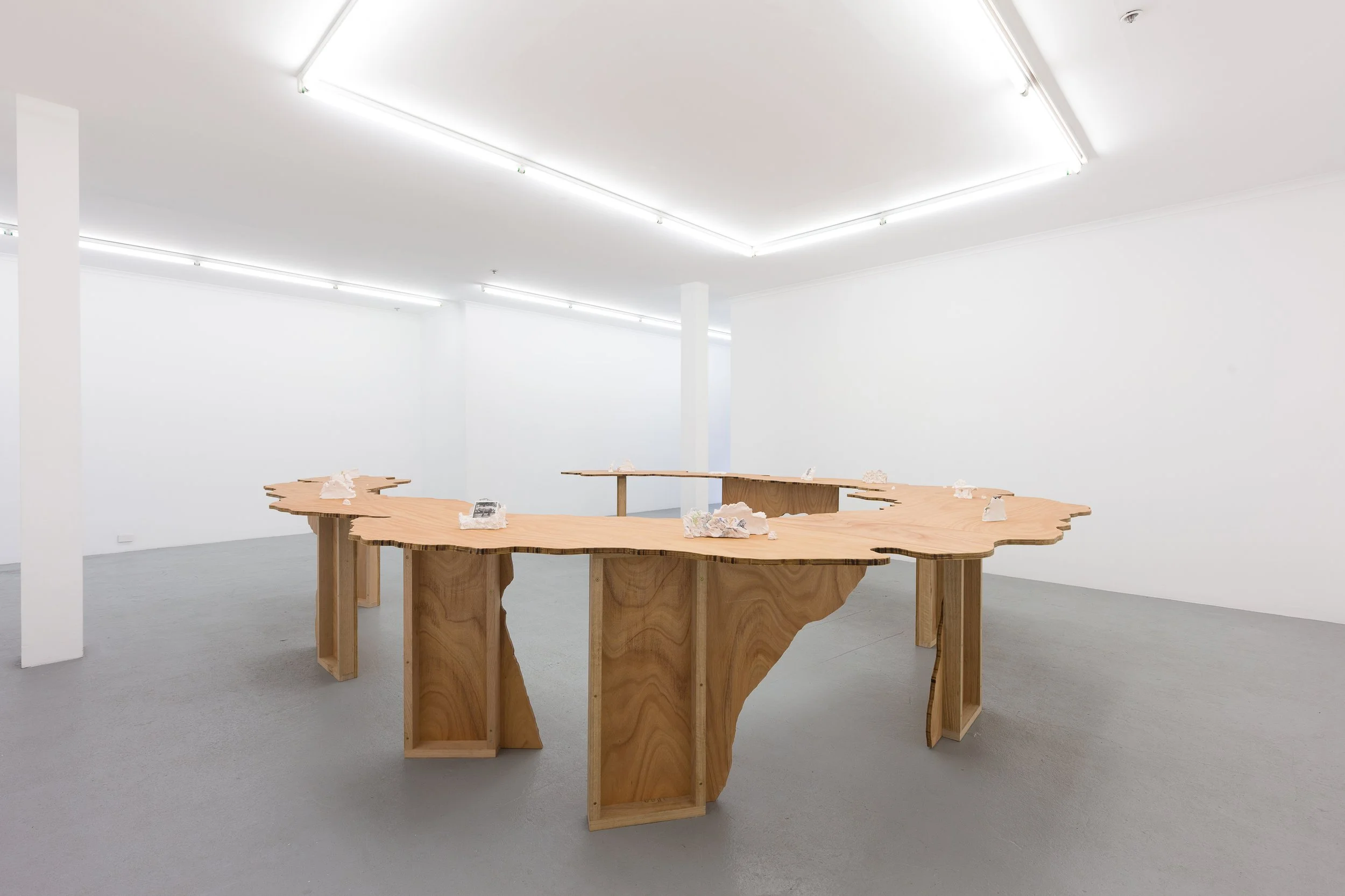 An Image of a Tiger (Installation view) 2018