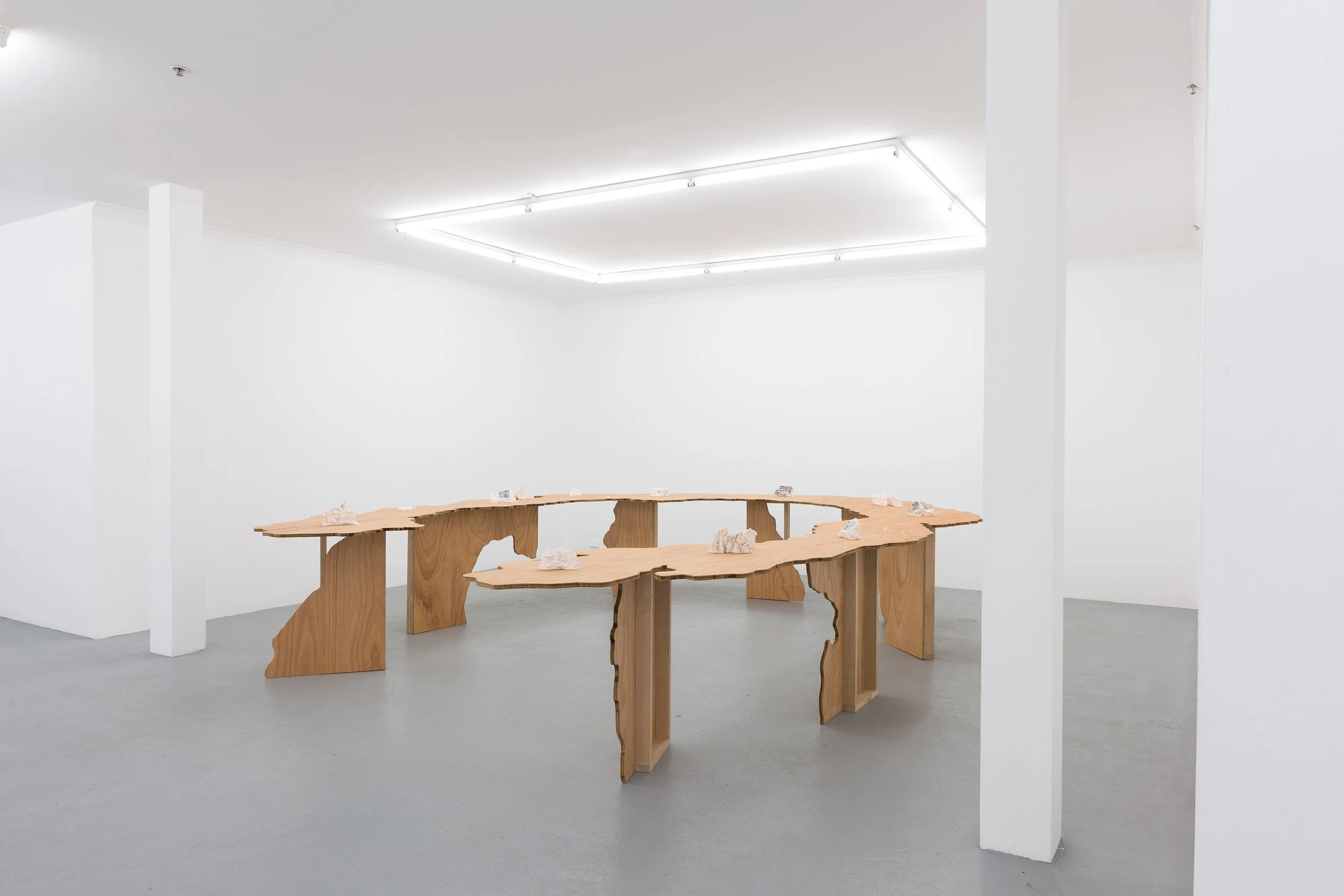 An Image of a Tiger (Installation view) 2018