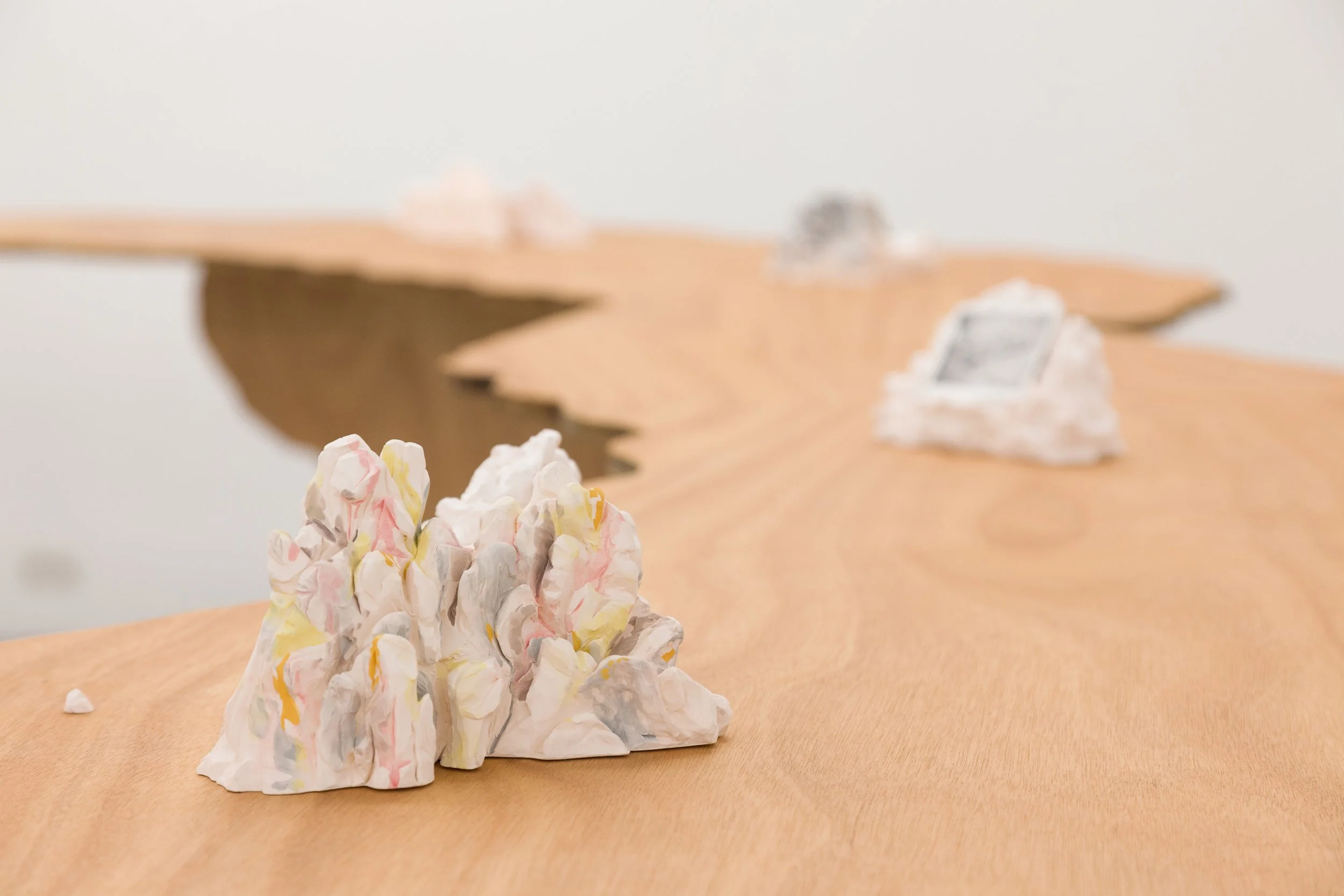 Haw Par Villa Rock Study #22 (Installation view) 2018