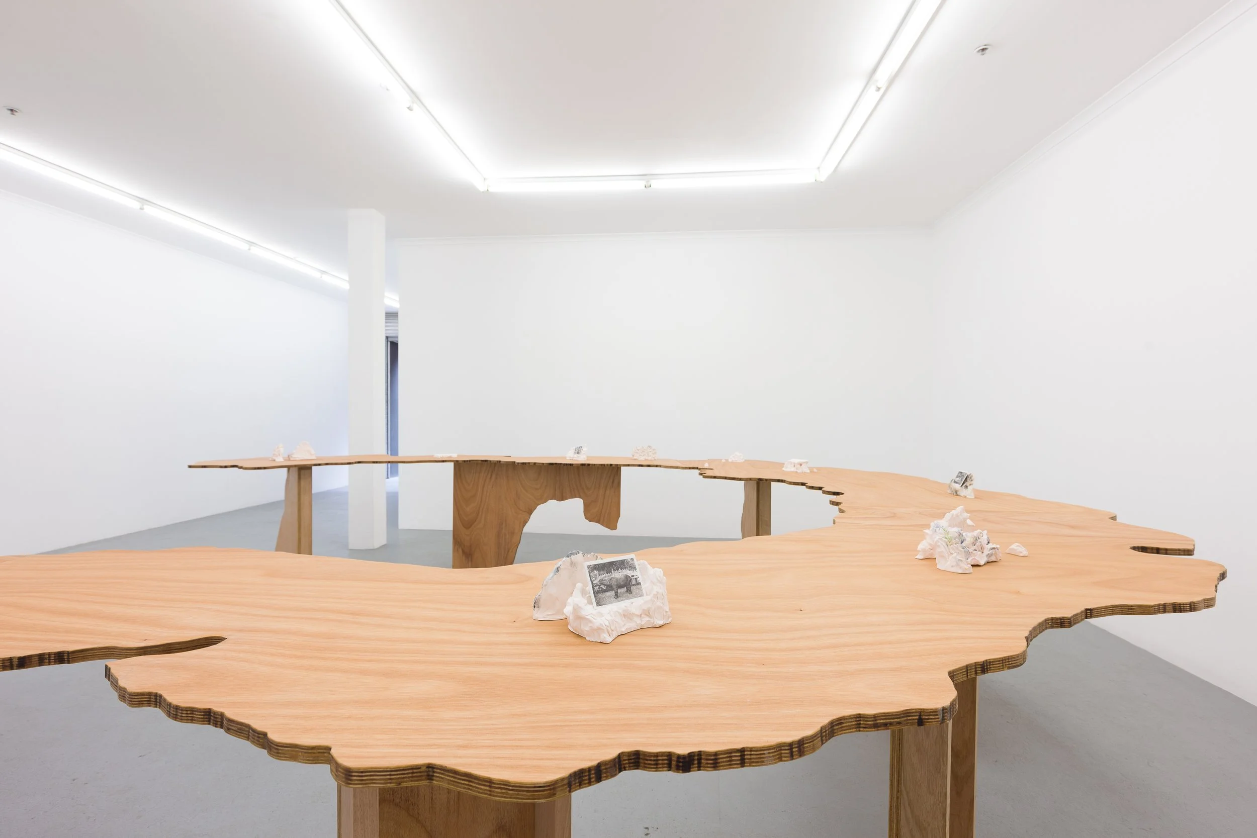 An Image of a Tiger (Installation view) 2018