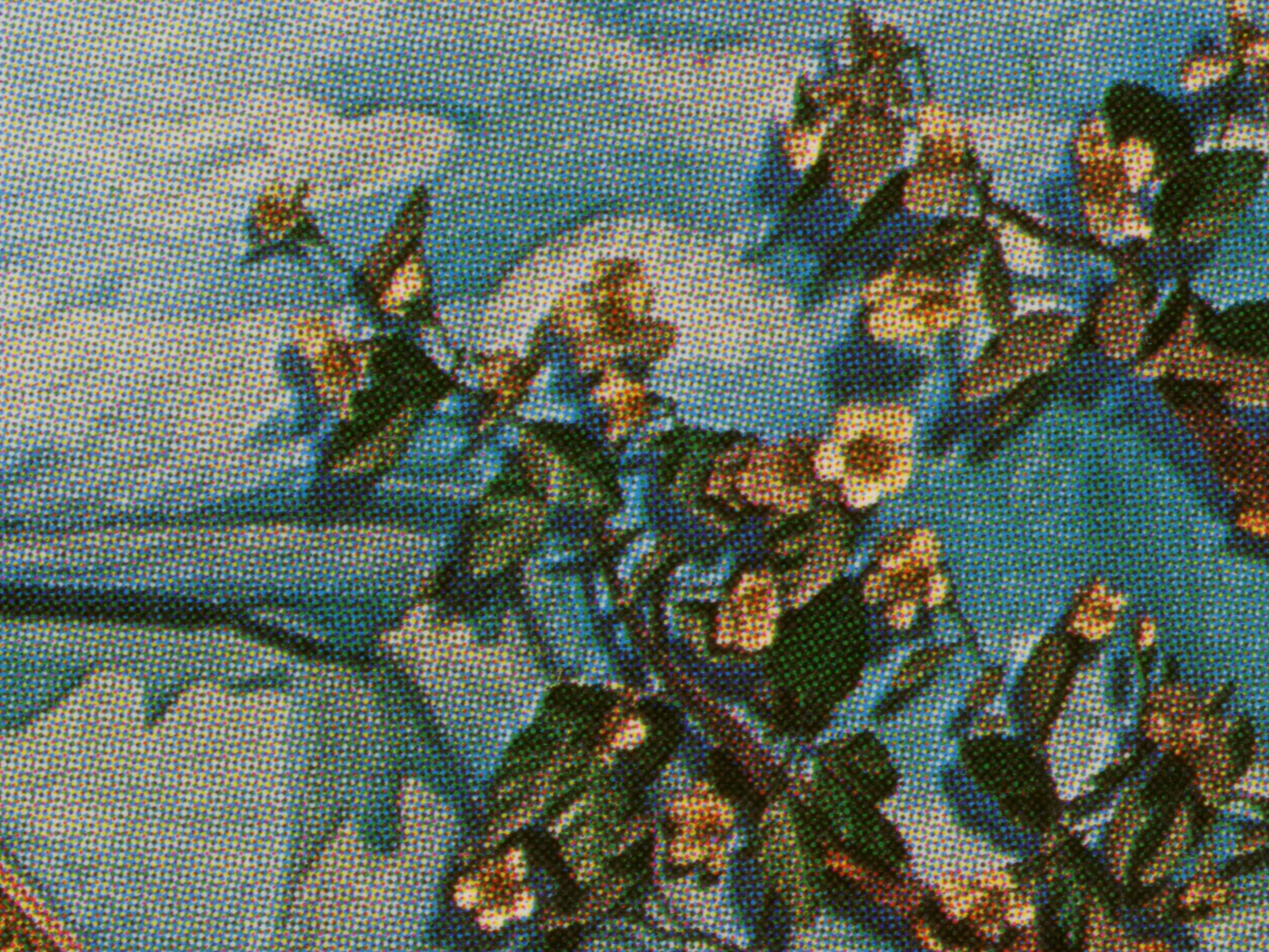 Postcards from Hell #3, 2023, 30 x 40cm, lambda print