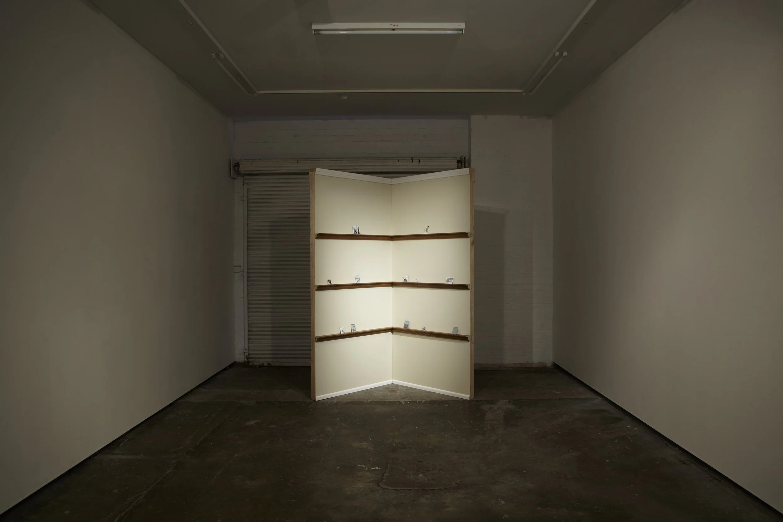 Artist's Personal Collection, (Installation View), 2013, plywood, pine, structural pine, house paint, wood stain, pastel and liquid pencil on primed zinc, approx. 240 x 180 x 95cm