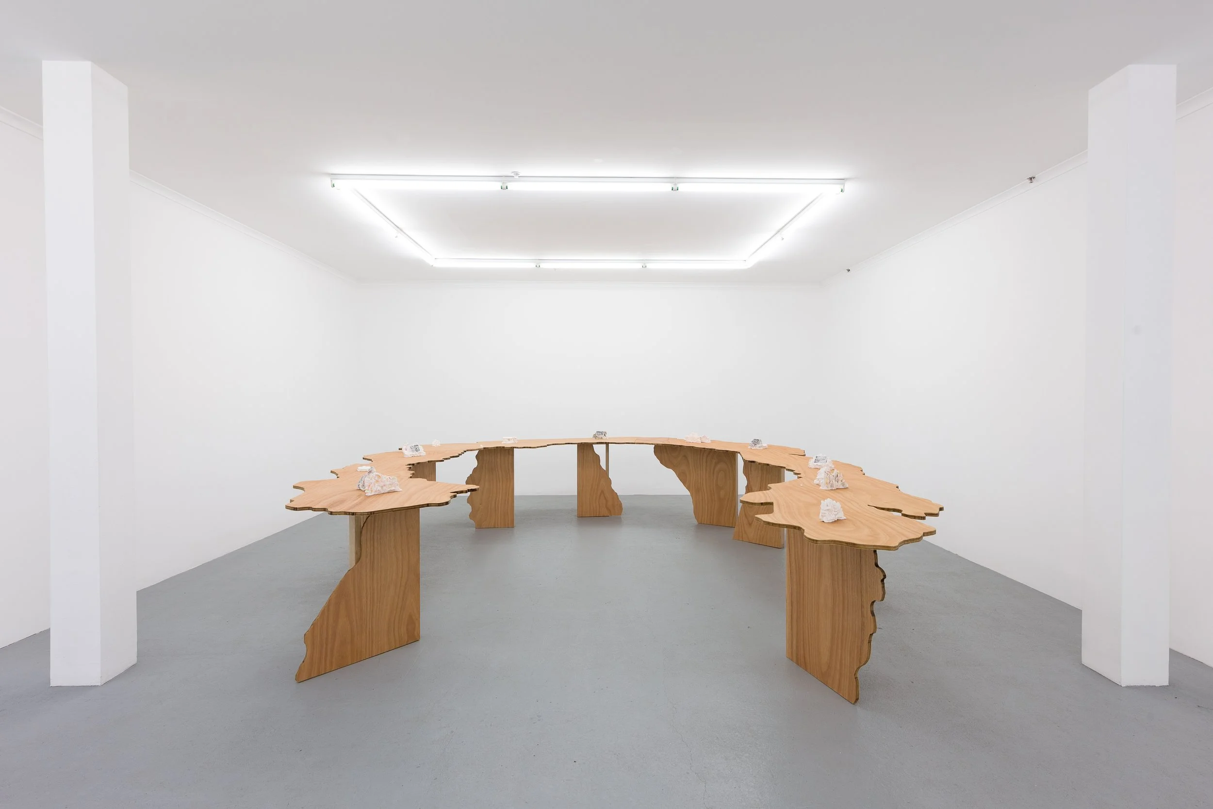 An Image of a Tiger (Installation view) 2018