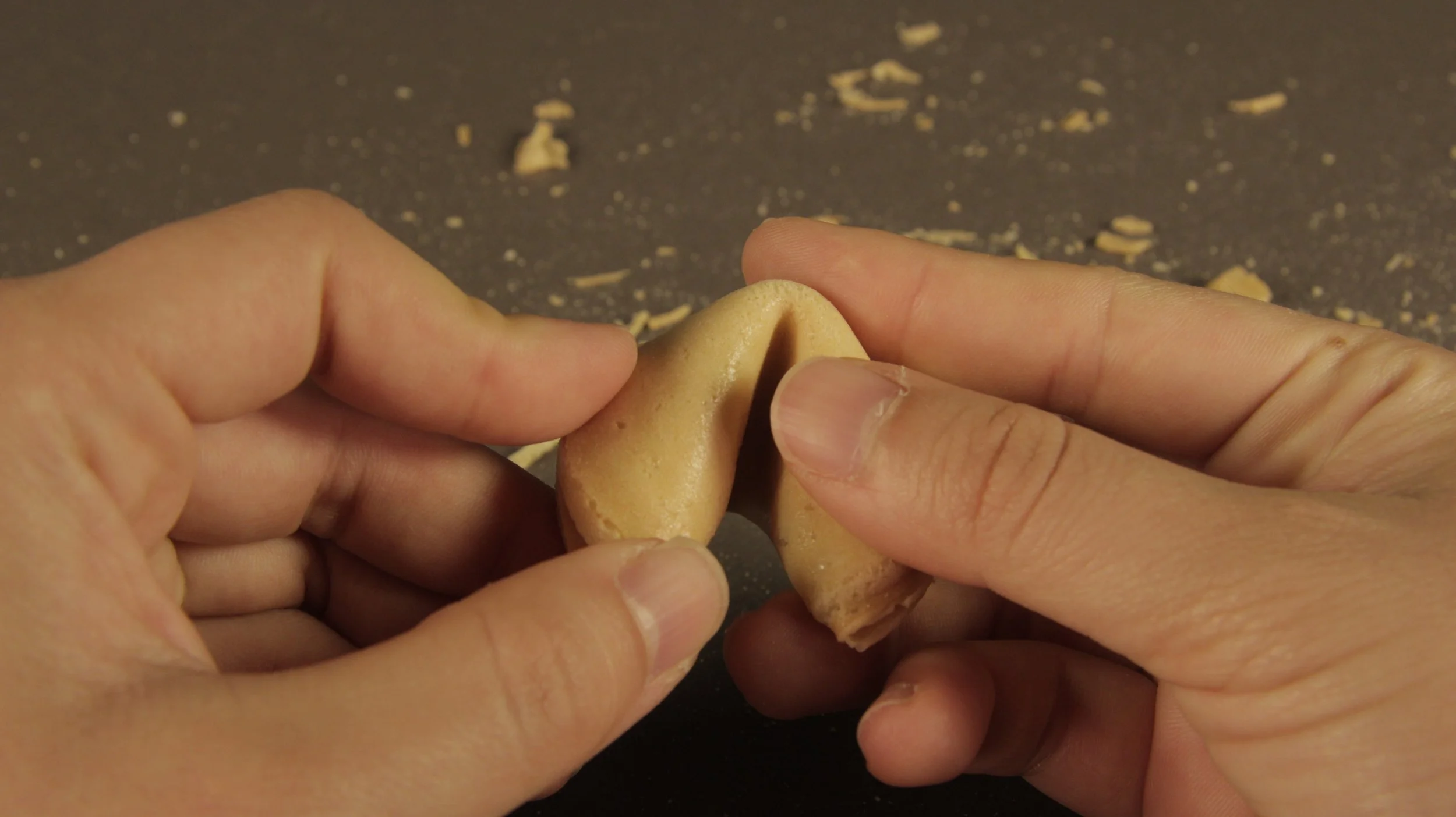 Find Your Fortune (Video Still) 2015