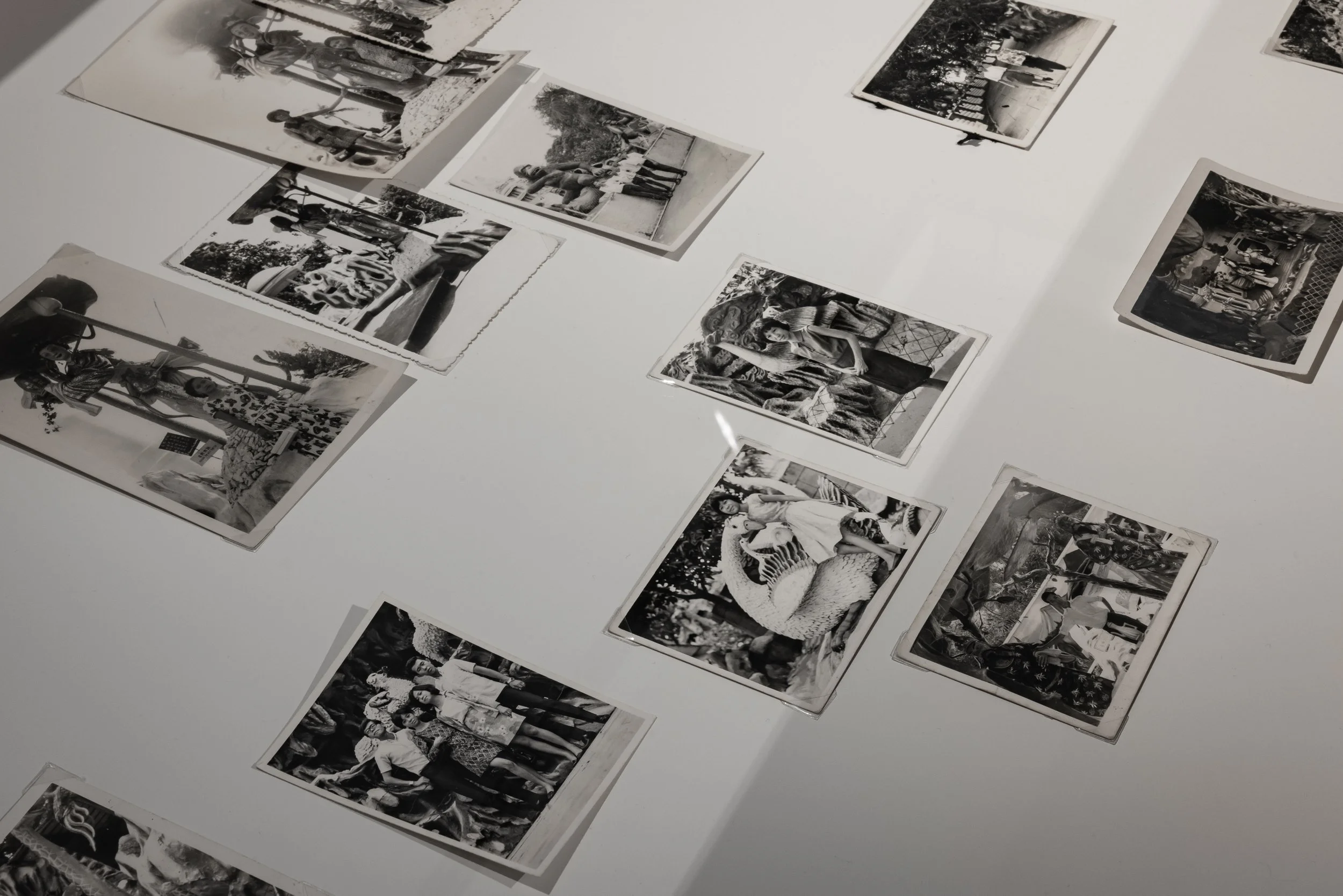 The Picture Collection, 2022, (Installation view), found photographs, dimensions variable.