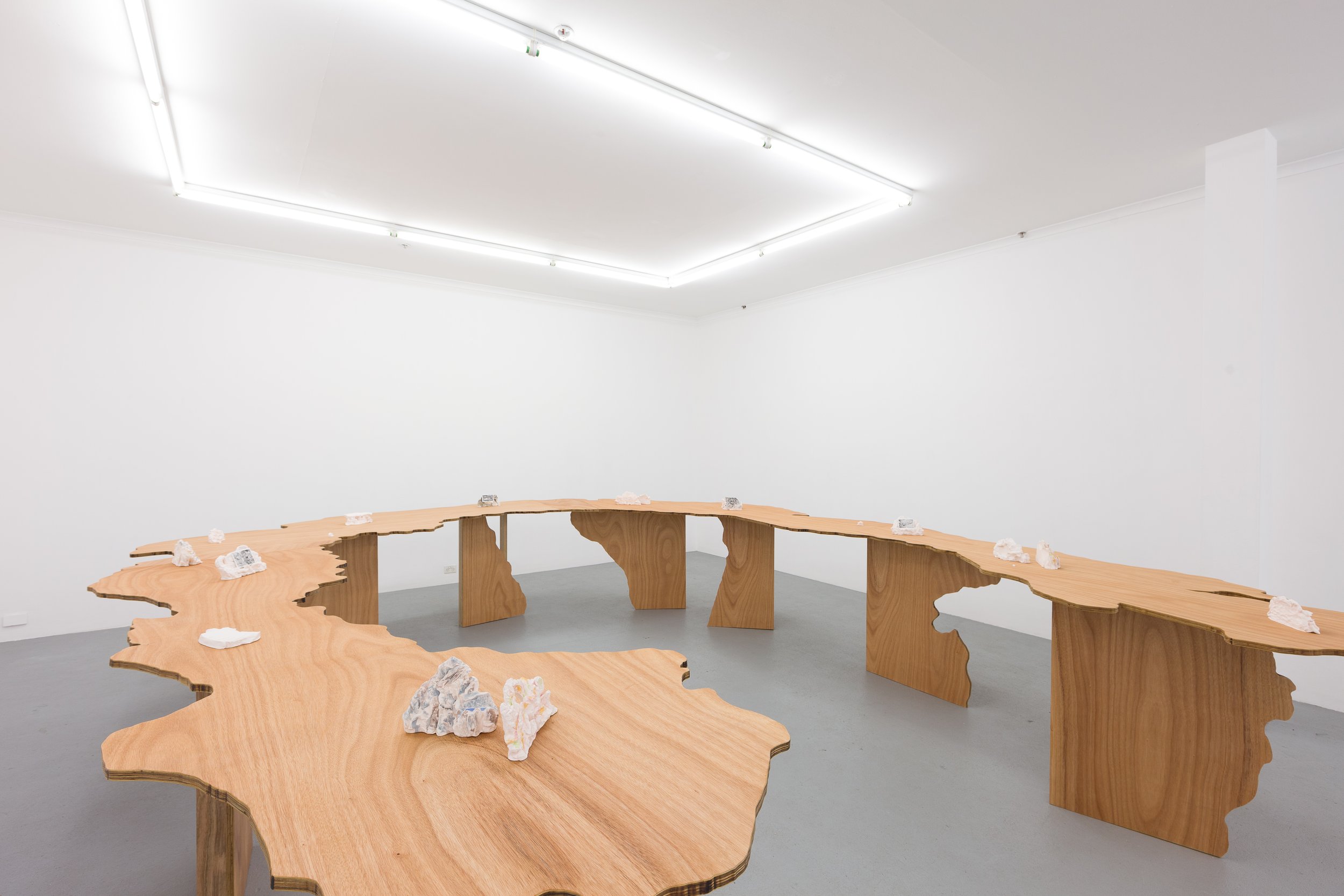 An Image of a Tiger (Installation view) 2018