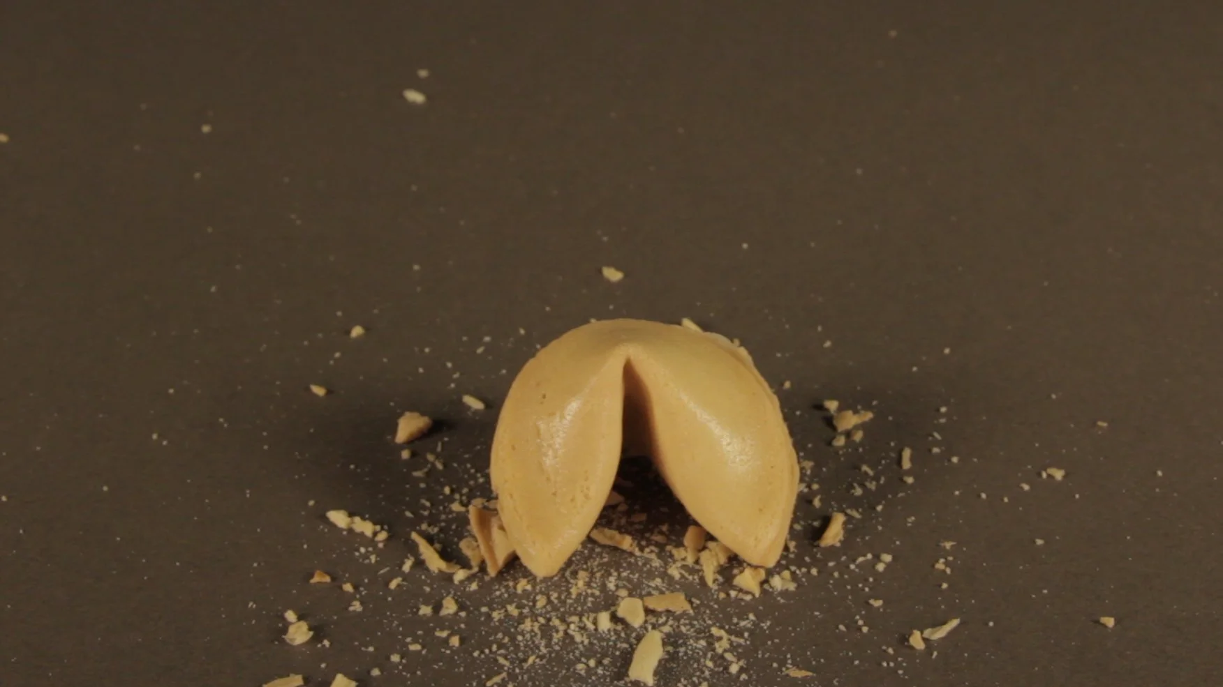 Find Your Fortune (Video Still) 2015