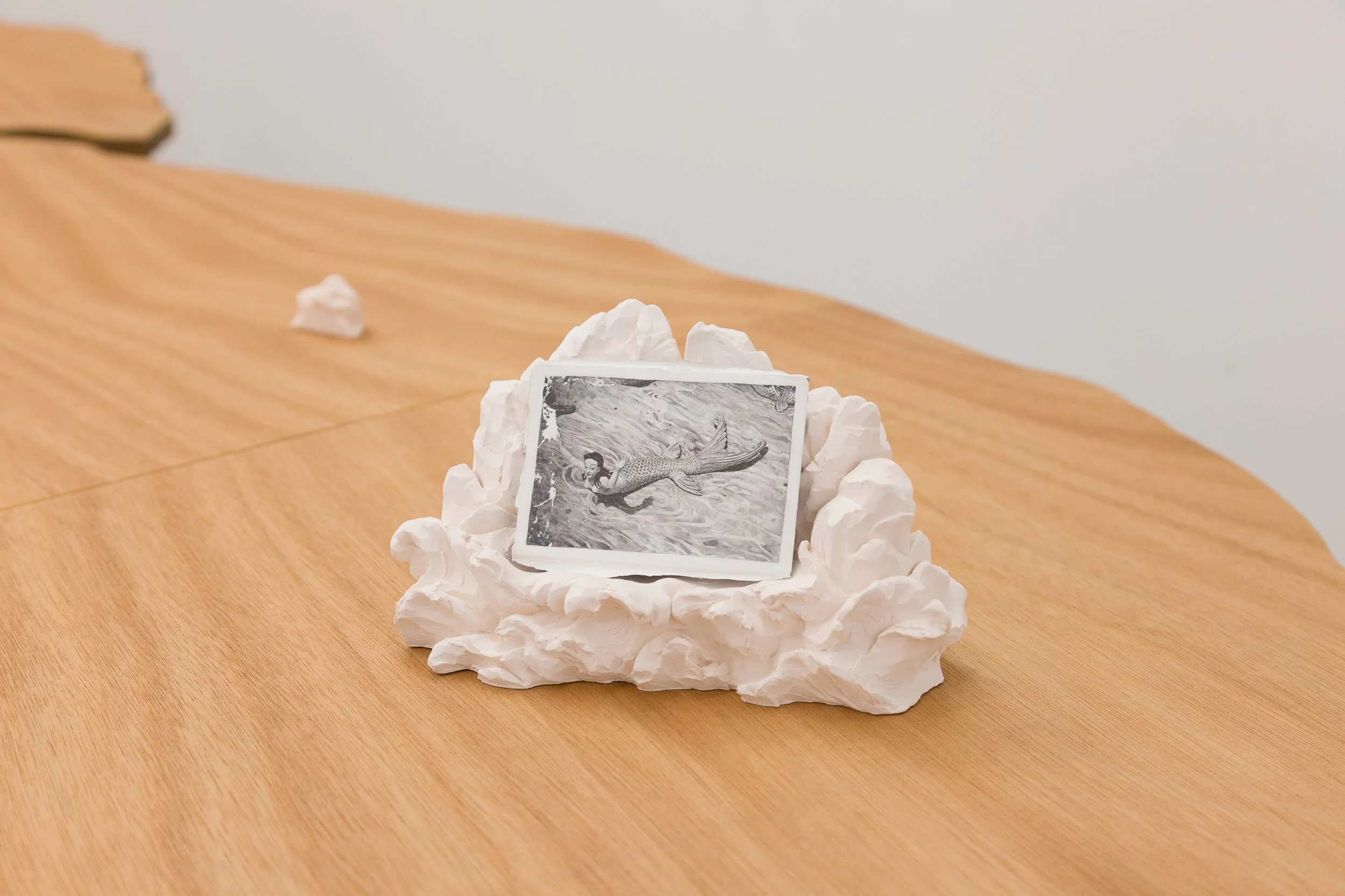 An Image of a Tiger | galerie pompom | 2018