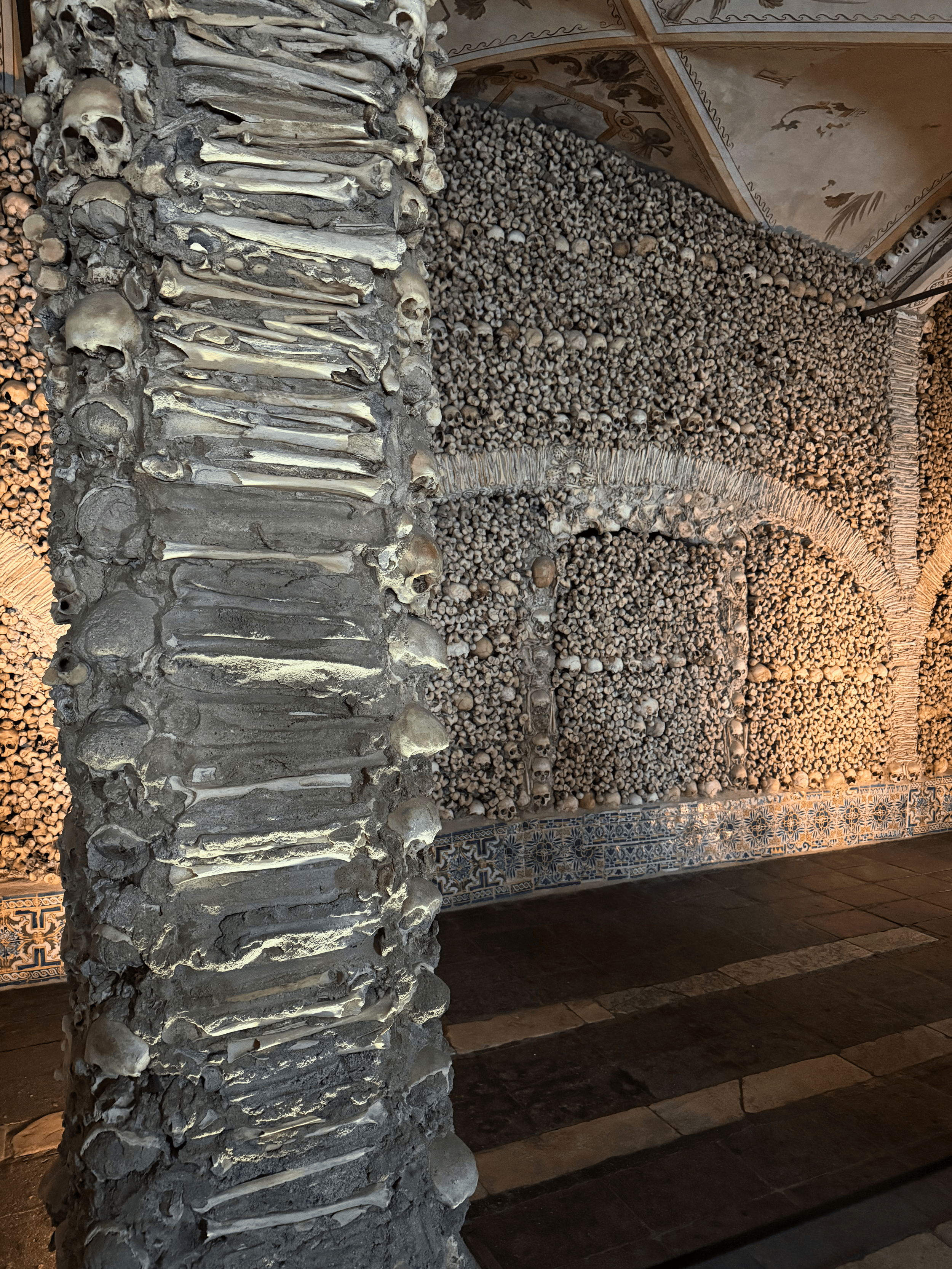 Evora Bones.png