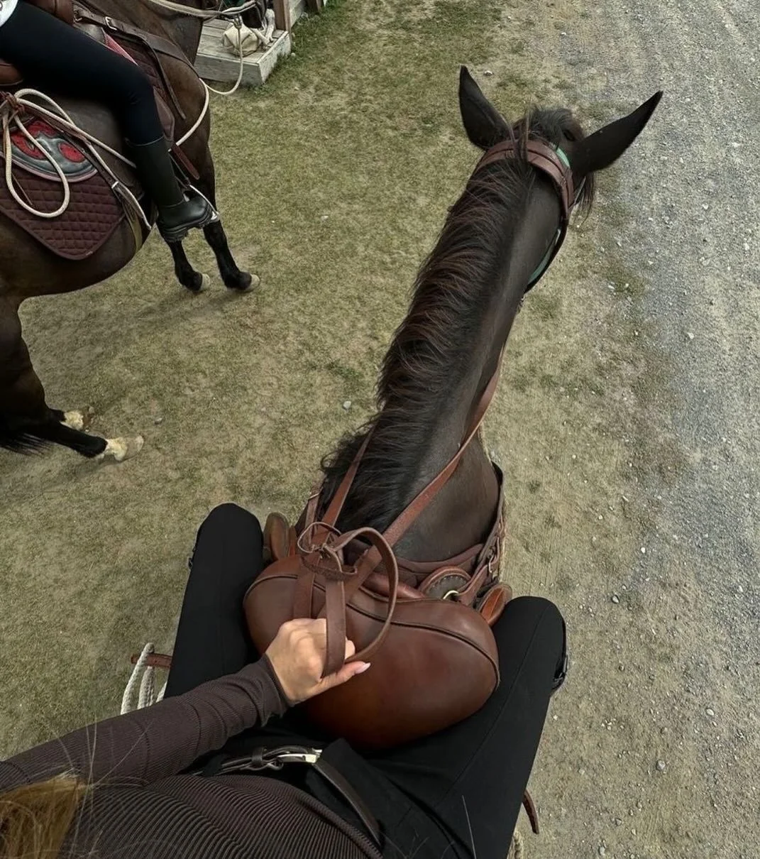 Your day, planned to perfection.
Start with luxury shopping, pause for fine dining, and finish with an elegant horse-riding experience all arranged by your AYR Concierge. ✨

#AYRConcierge
#LuxuryShoppingExperience
#CuratedByAYR
#EffortlessLuxury
#Lif