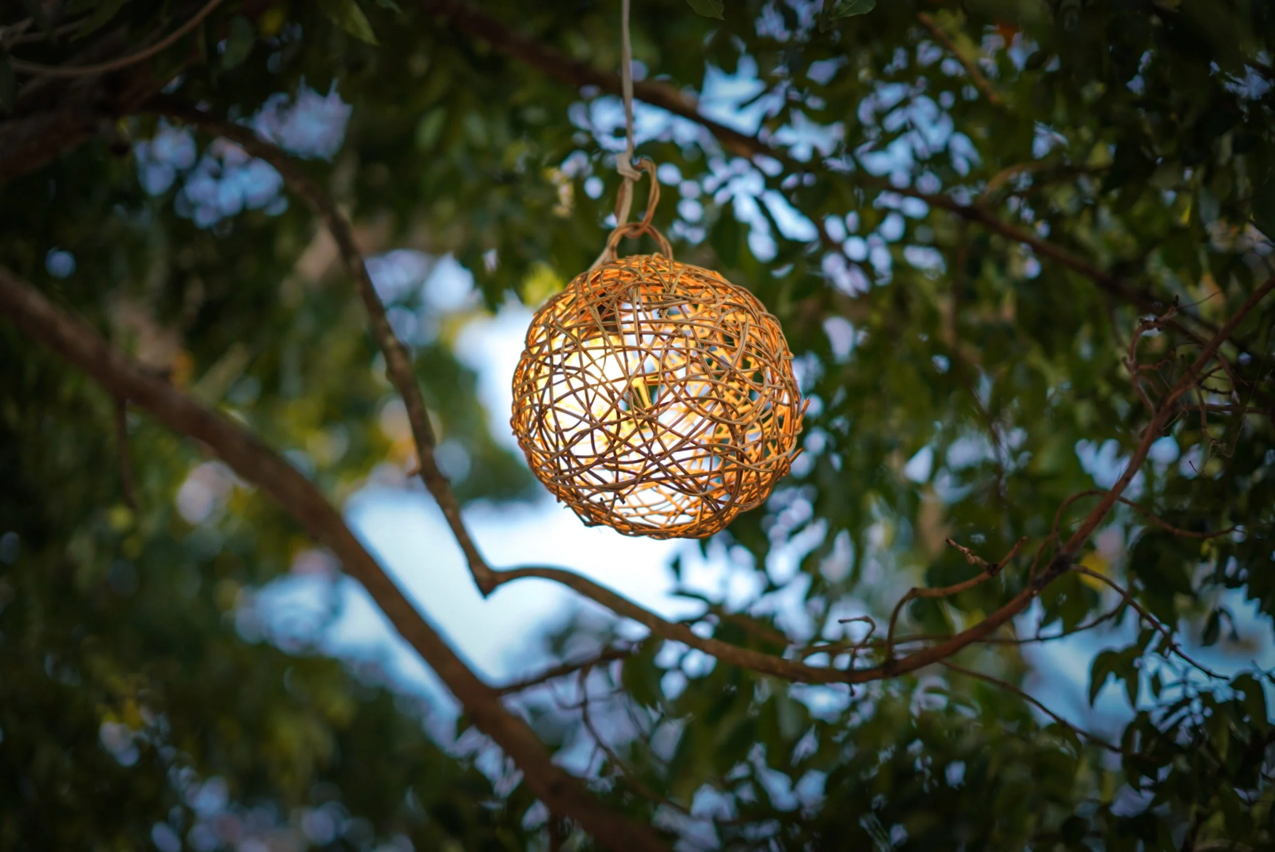 A woven rattan lantern hanging from a tree branch, surrounded by green leaves and blue sky.