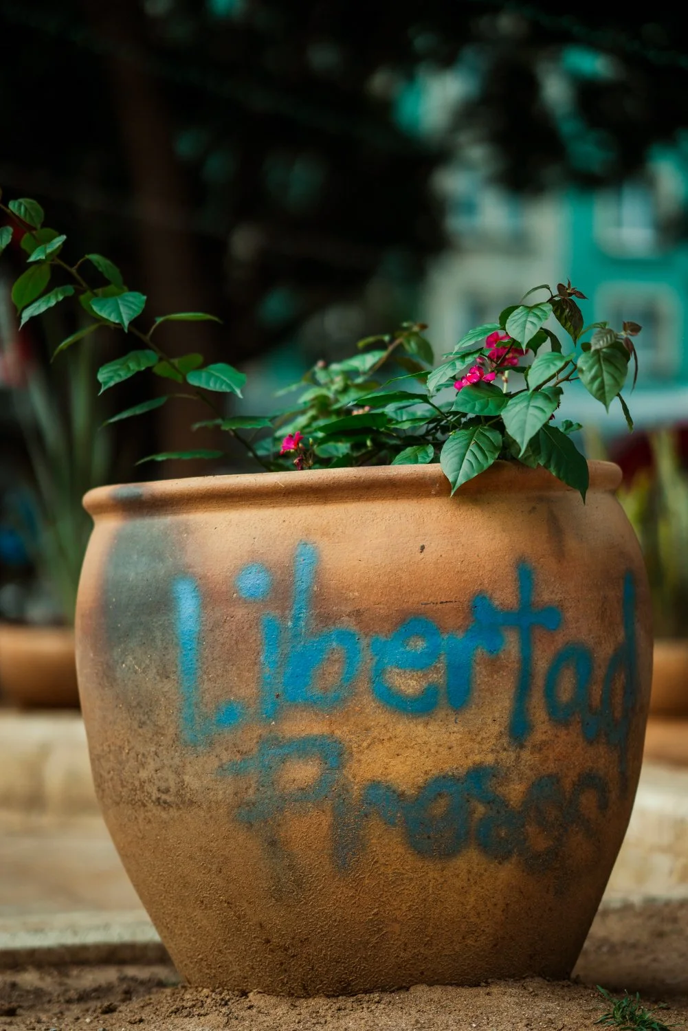 libertad oaxaca city.jpg