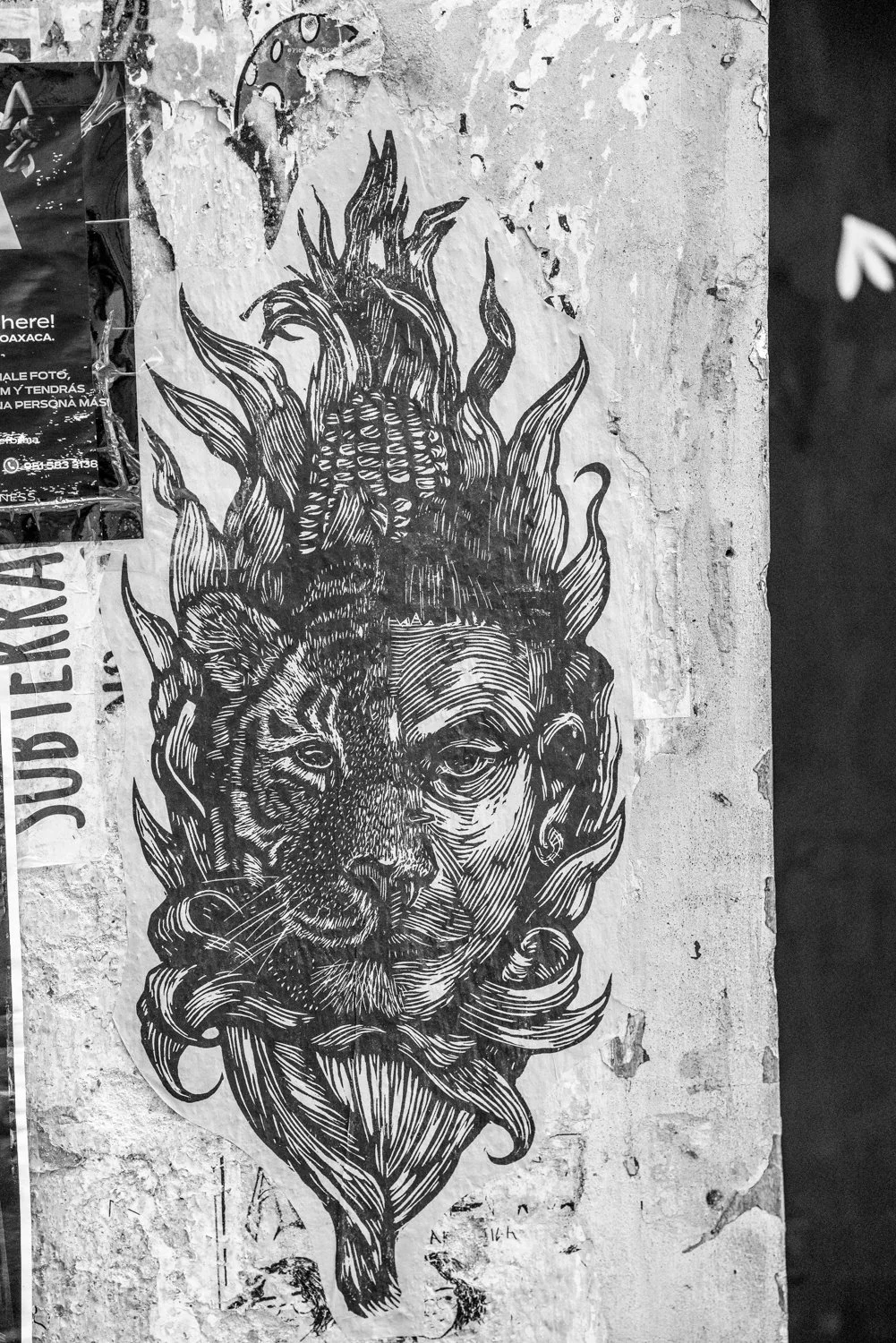 street art 2.jpg