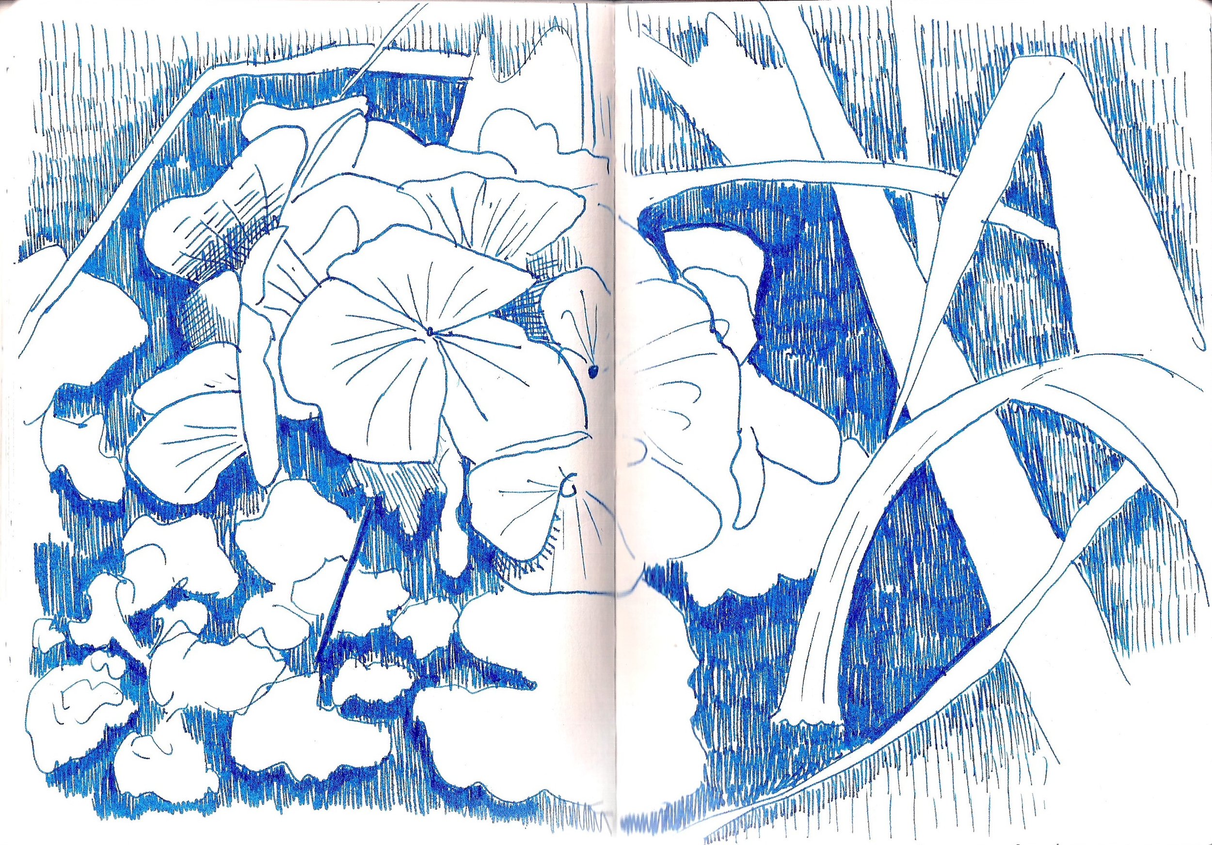 Scan_20250618 (7) - Copy.jpg