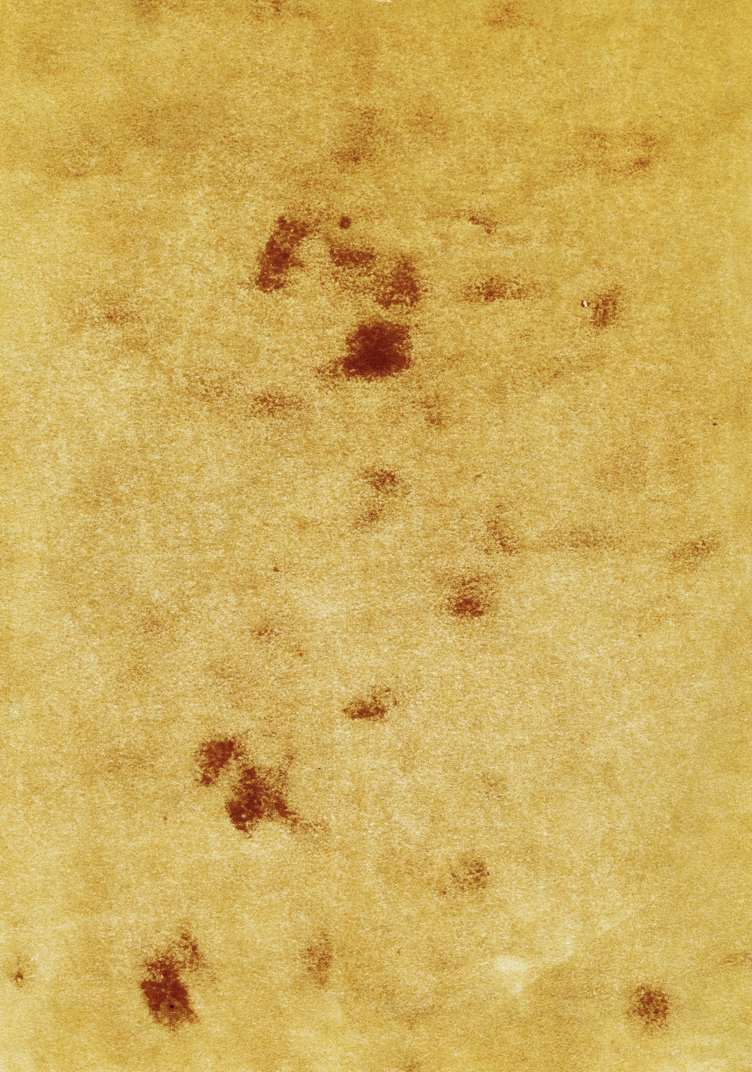 img20250409_15445569 (1).jpg