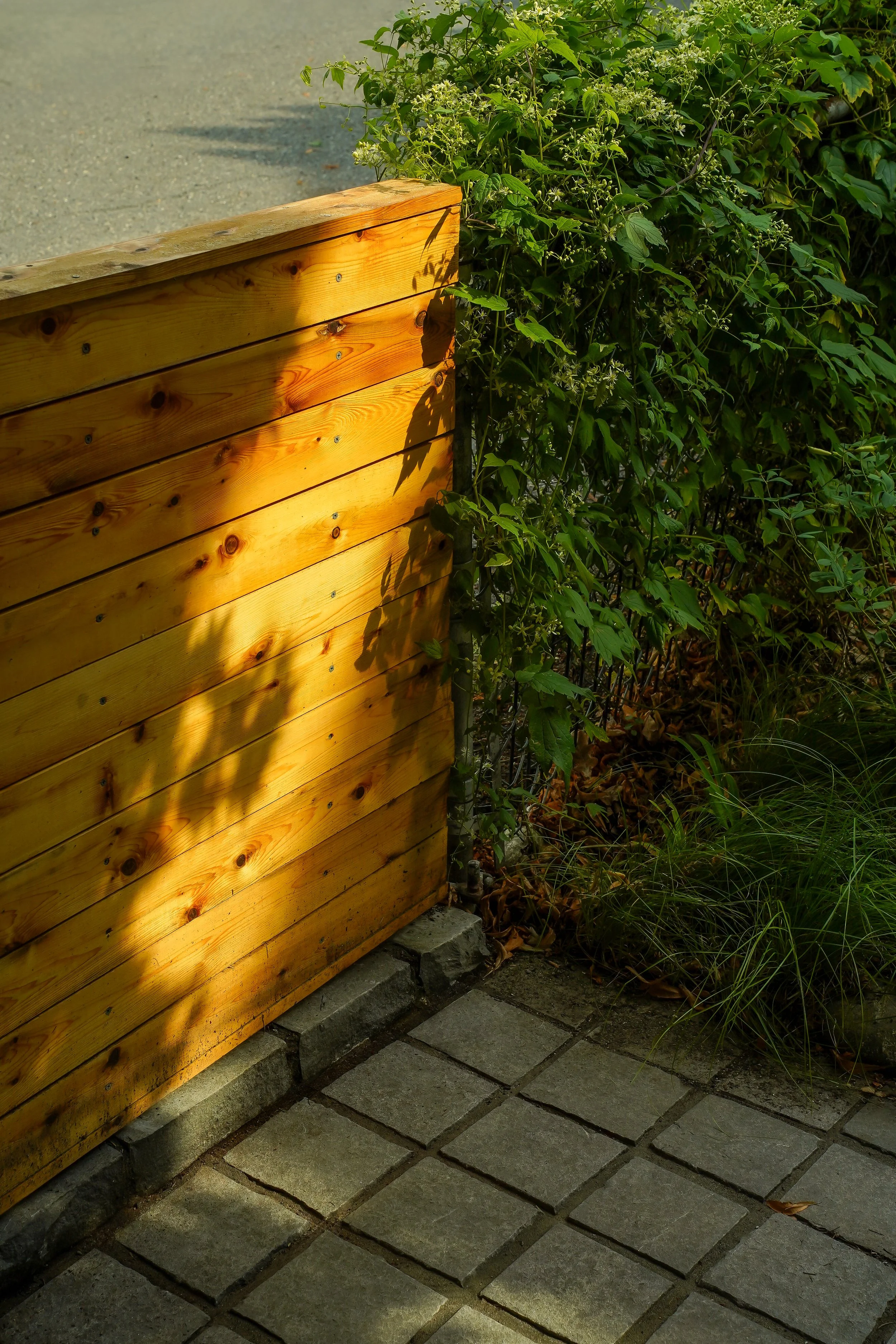 HMD08646.jpg