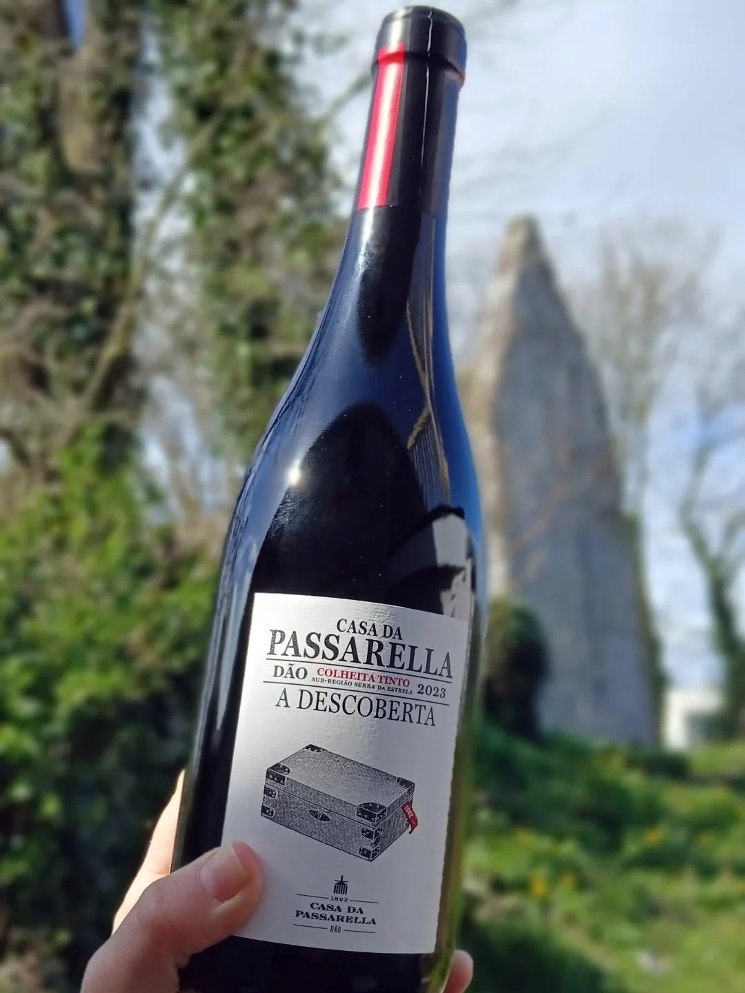 Ruth's picks for this week:
A cosy warming red for this stormy weather and something a little different for some Spring optimism 😀 
Casa de Passarella , back in stock &amp; selling fast is a spicy, warm, easy drinking Portuguese.
And Meinklang's ora