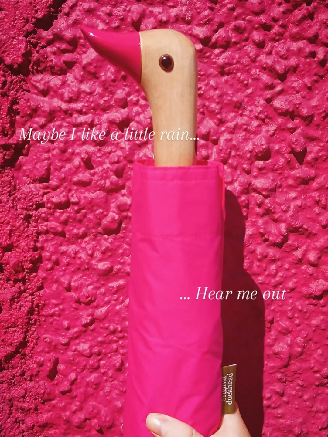 ...and to back up the theory that we are a nation who bring colour to where its needed.. we didn't have to travel far to photograph these pics. All of the backgrounds came from homes or businesses all beside Wild Living &amp; @wildbeanskinvara 🫶
❤️?