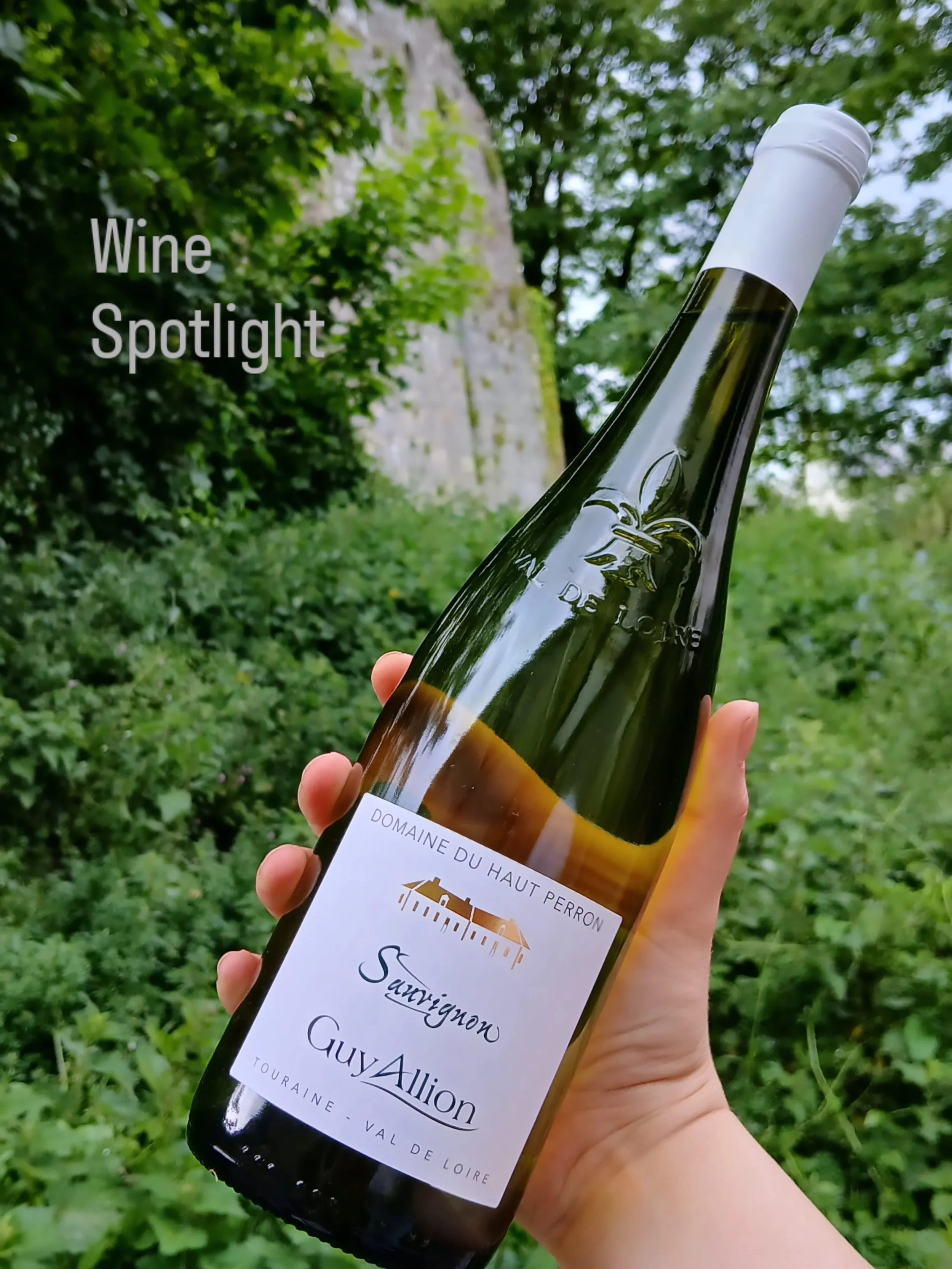 Our house specials by the glass / bottle in the wine bar this weekend - 
Guy Allion, a tropical citrusy dry sauv from The Loire and Du Beur dans les Pinards , a lively organic Beaujolais - pairs great with a charcuterie 😉 ... say less 

#organicwine