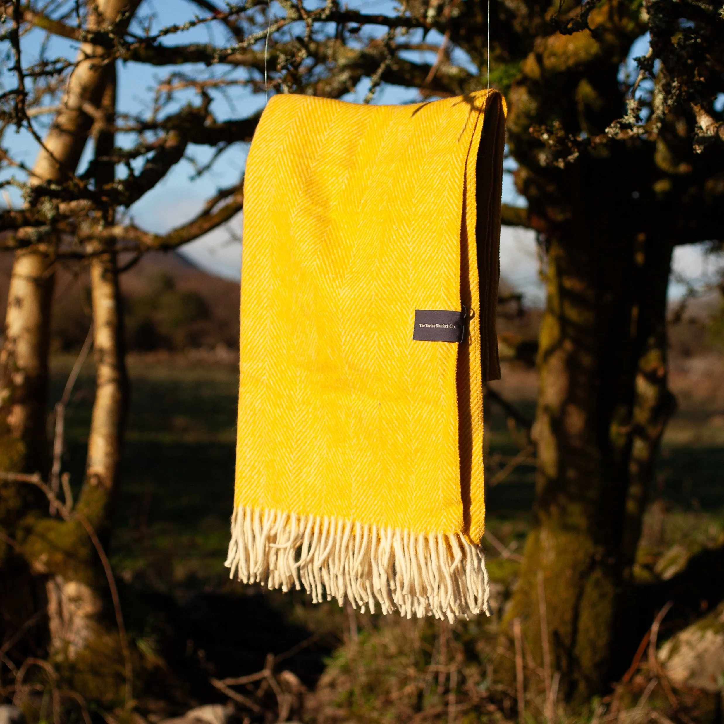 tbco Recycled Wool Blanket 