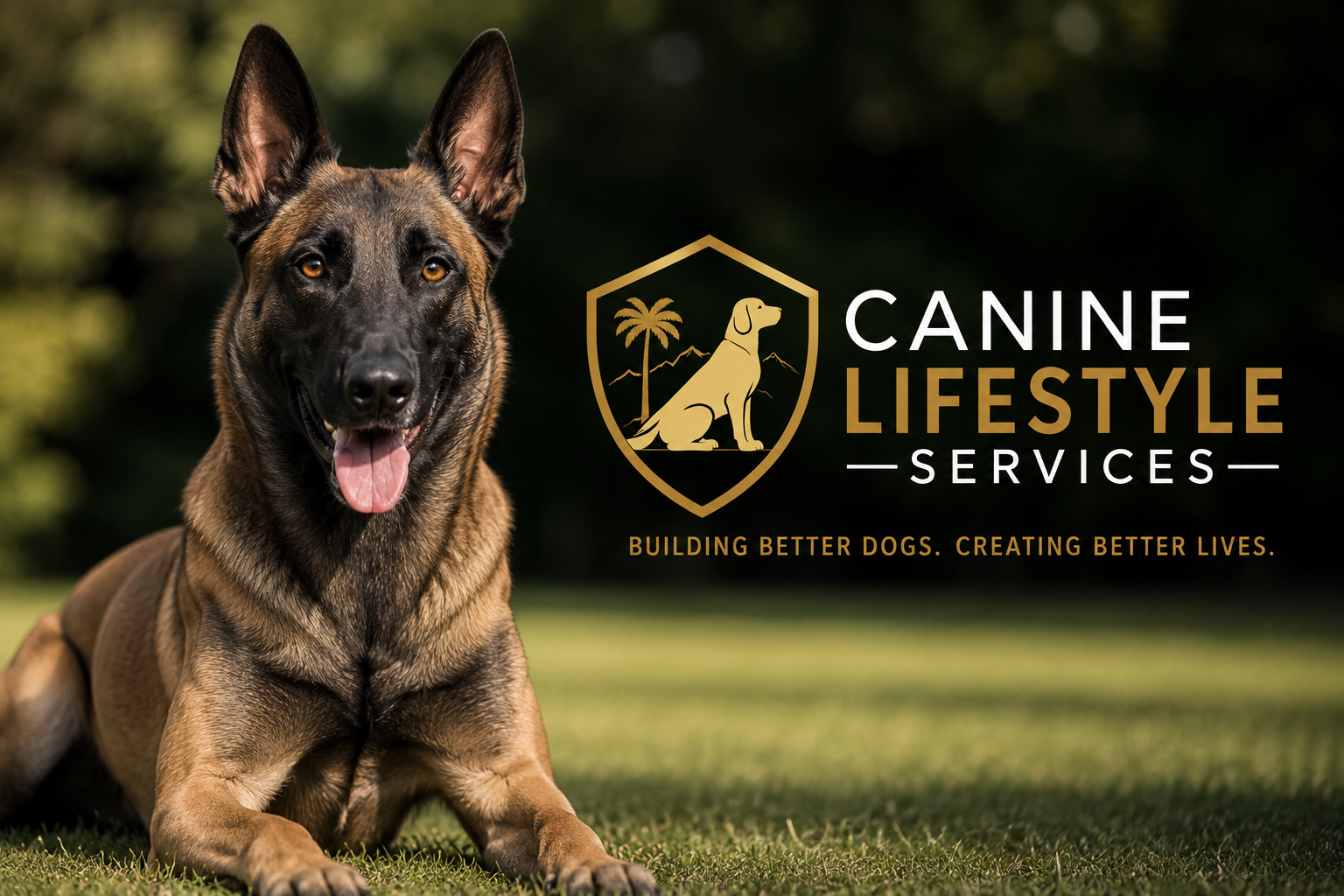 Dog Reactivity: Why Your Dog Barks, Lunges or Pulls—and What You Can Do About It