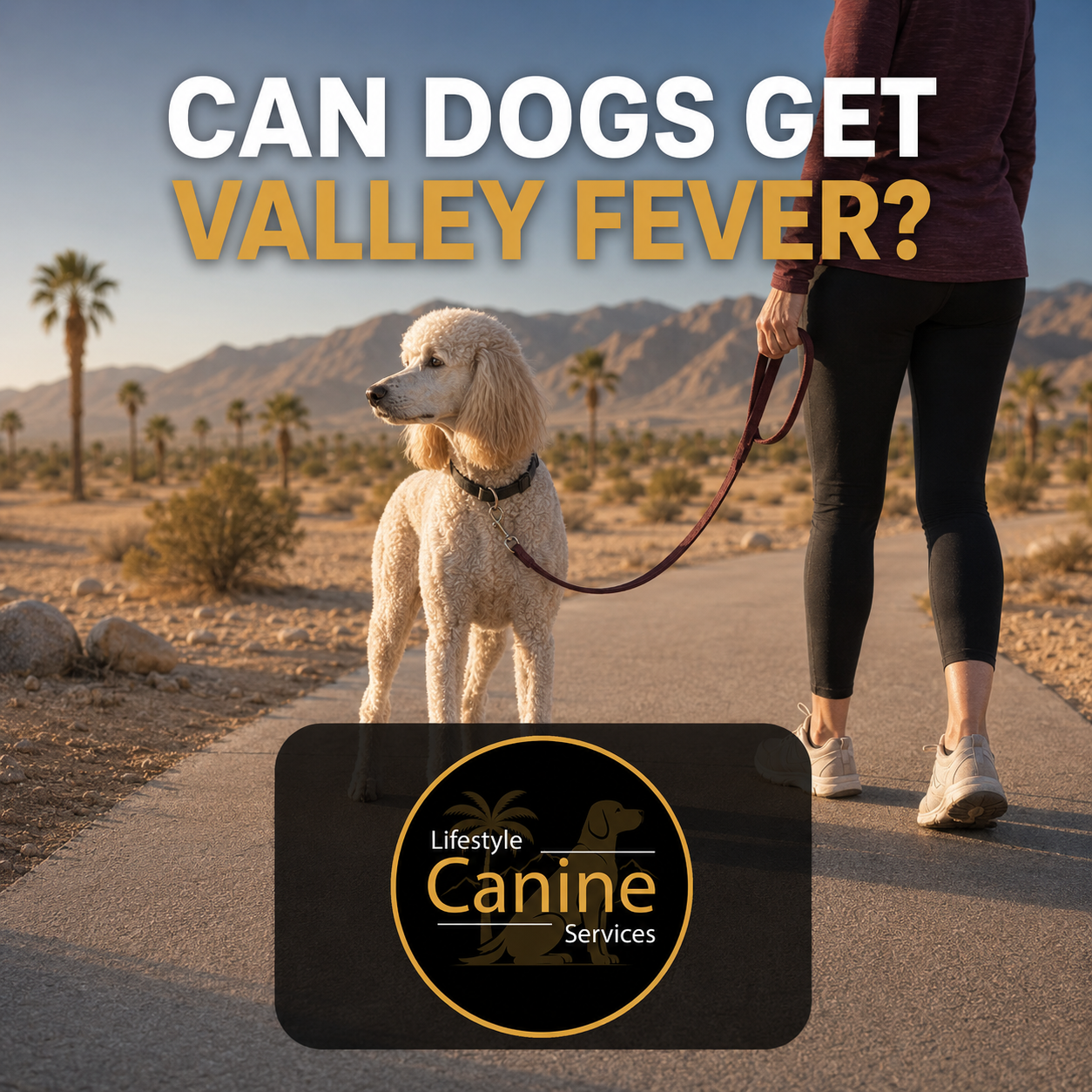 Can Dogs Get Valley Fever?