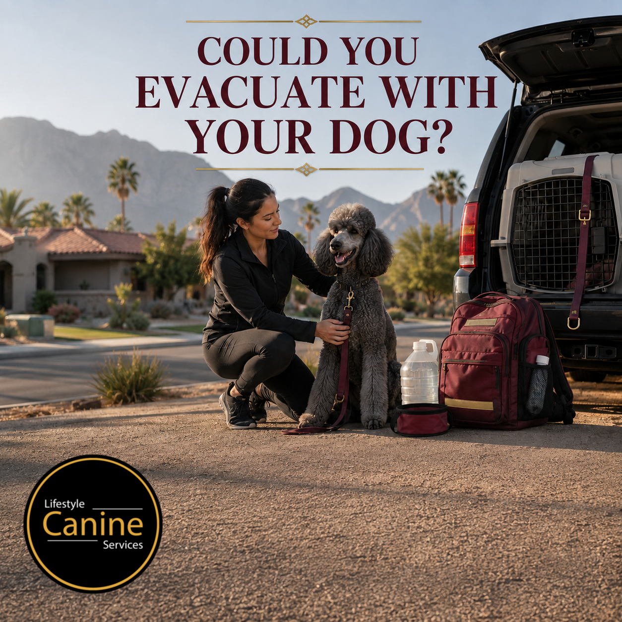 Could You Evacuate With Your Dog?